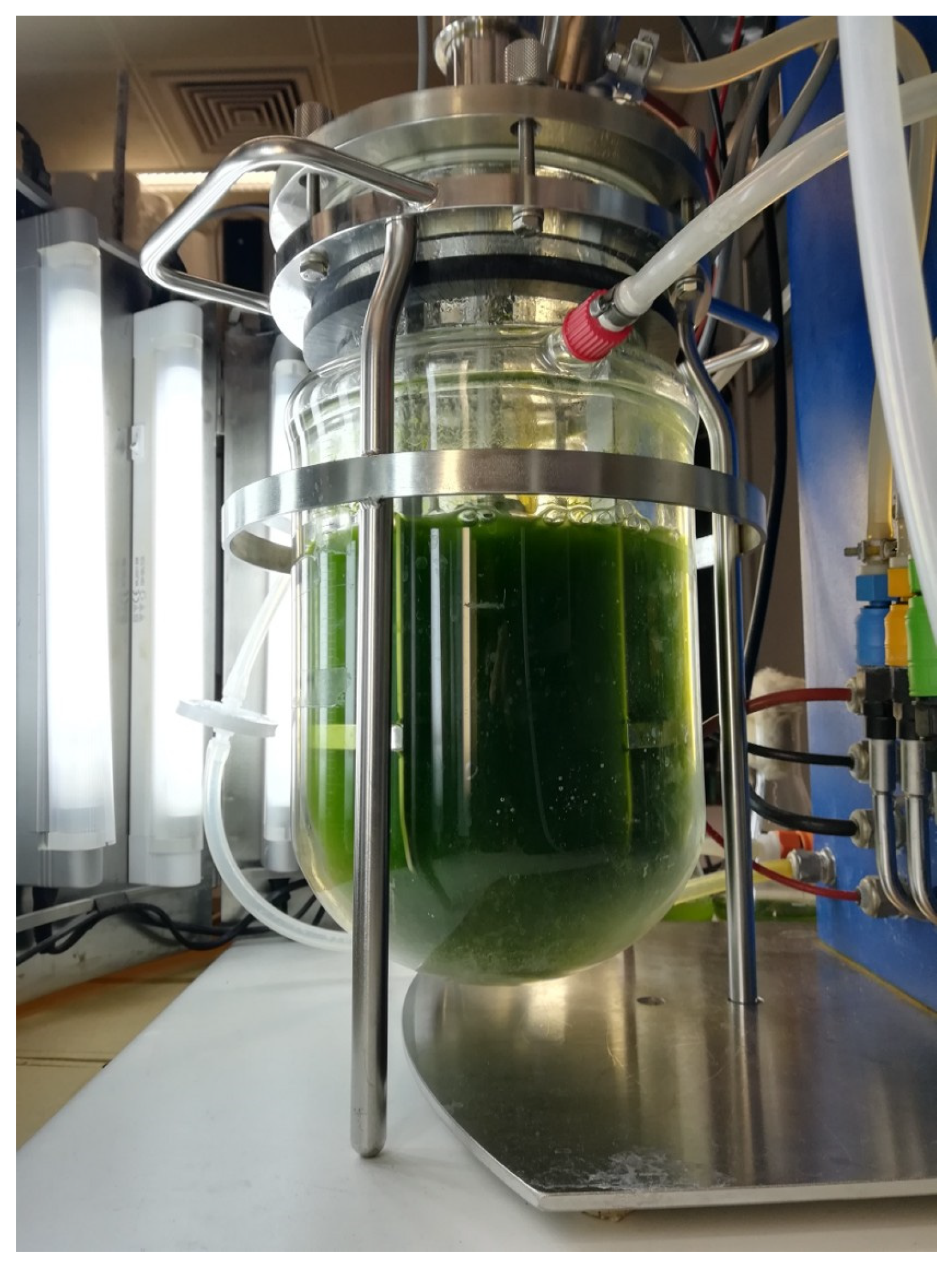 Microorganisms 13 01155 g001