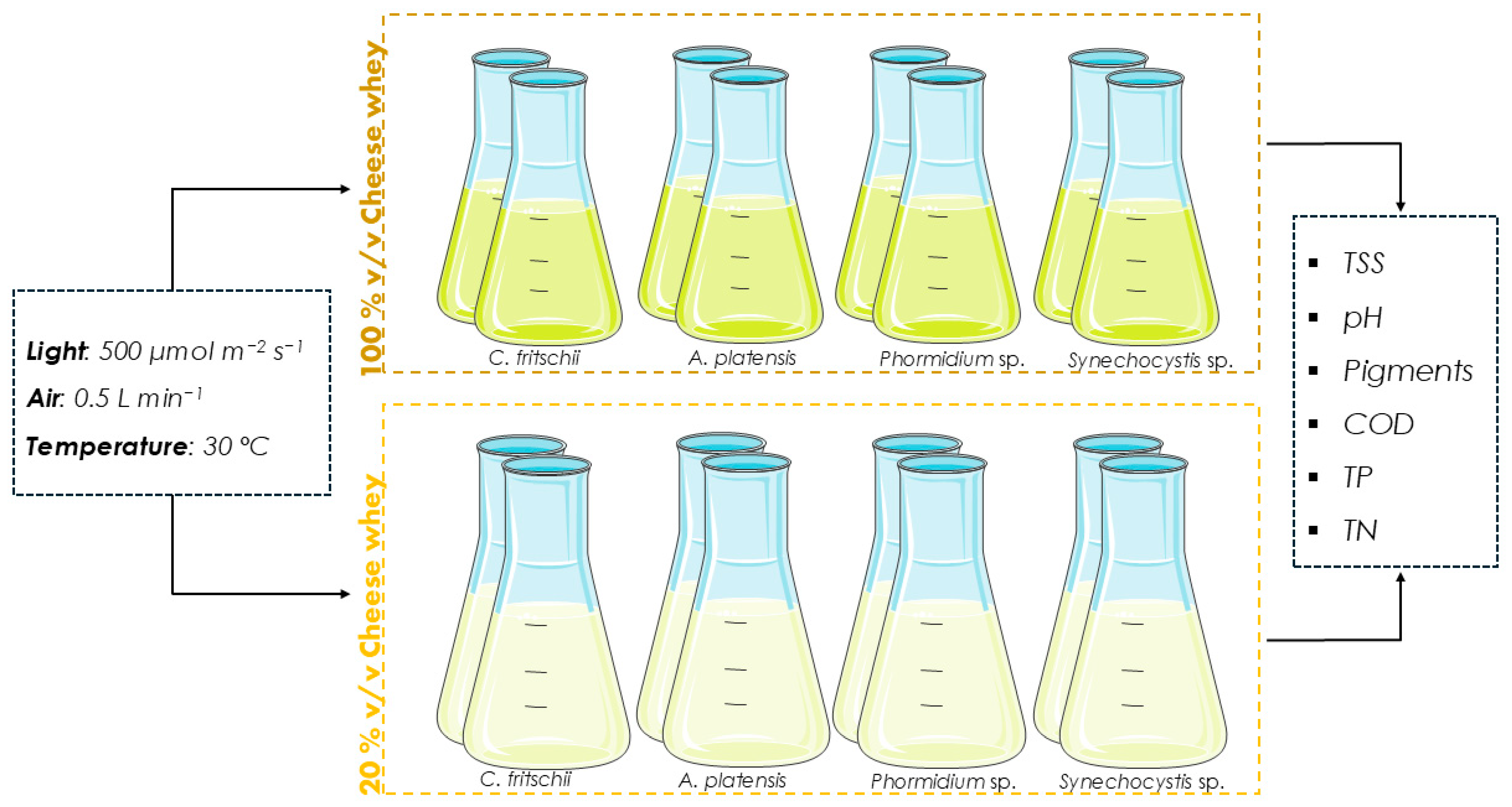 Microorganisms 13 01157 g001
