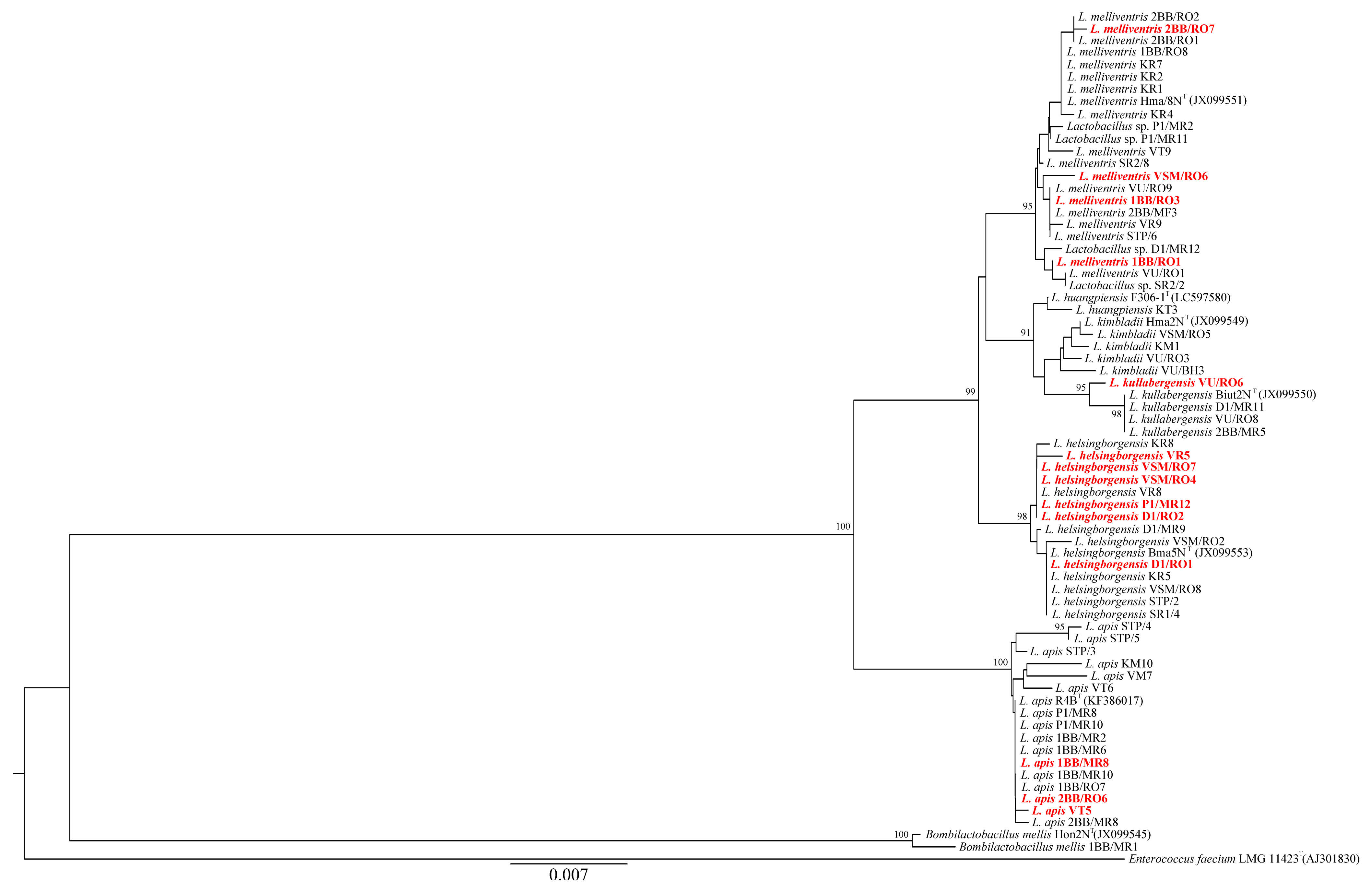 Microorganisms 13 01159 g004