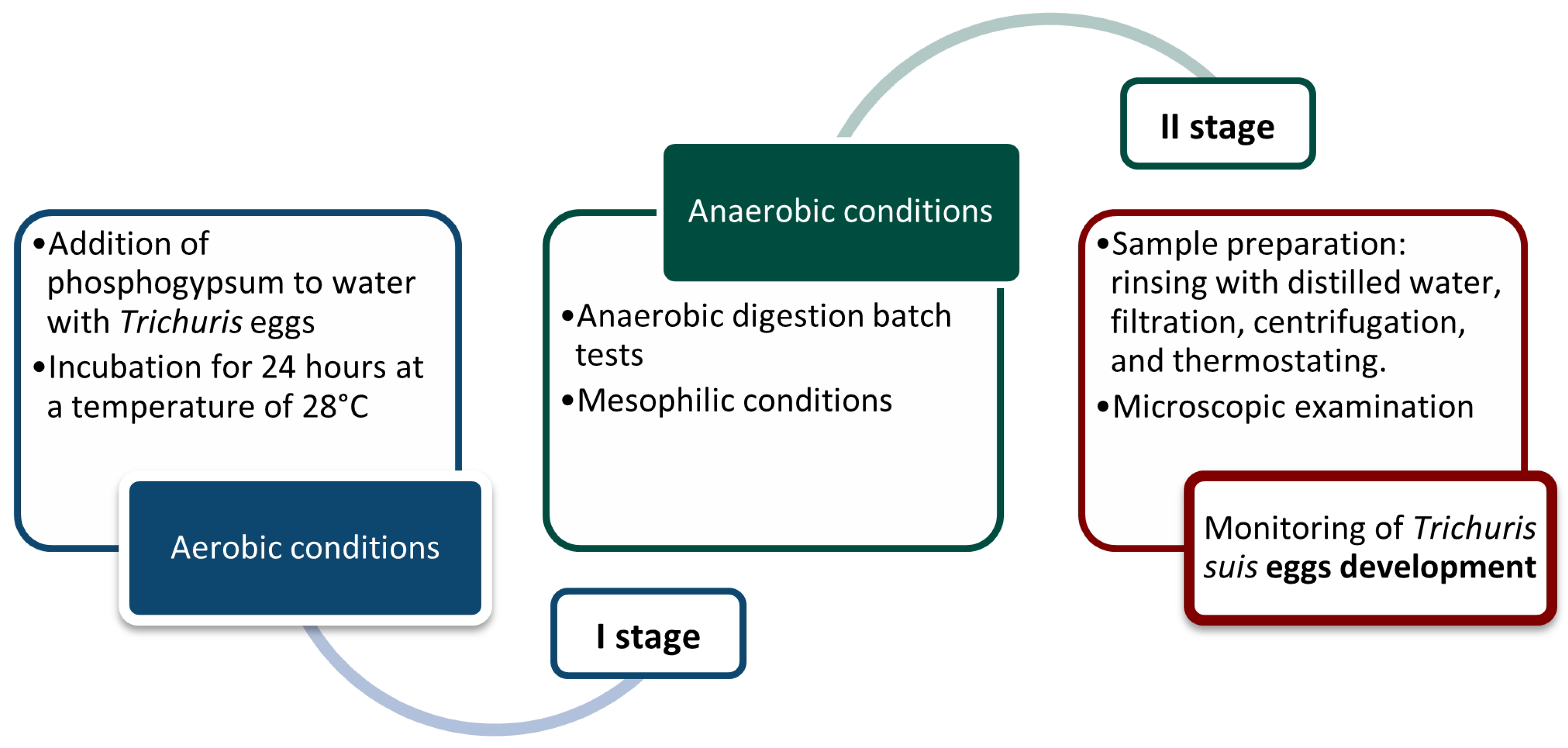 Microorganisms 13 01165 g001