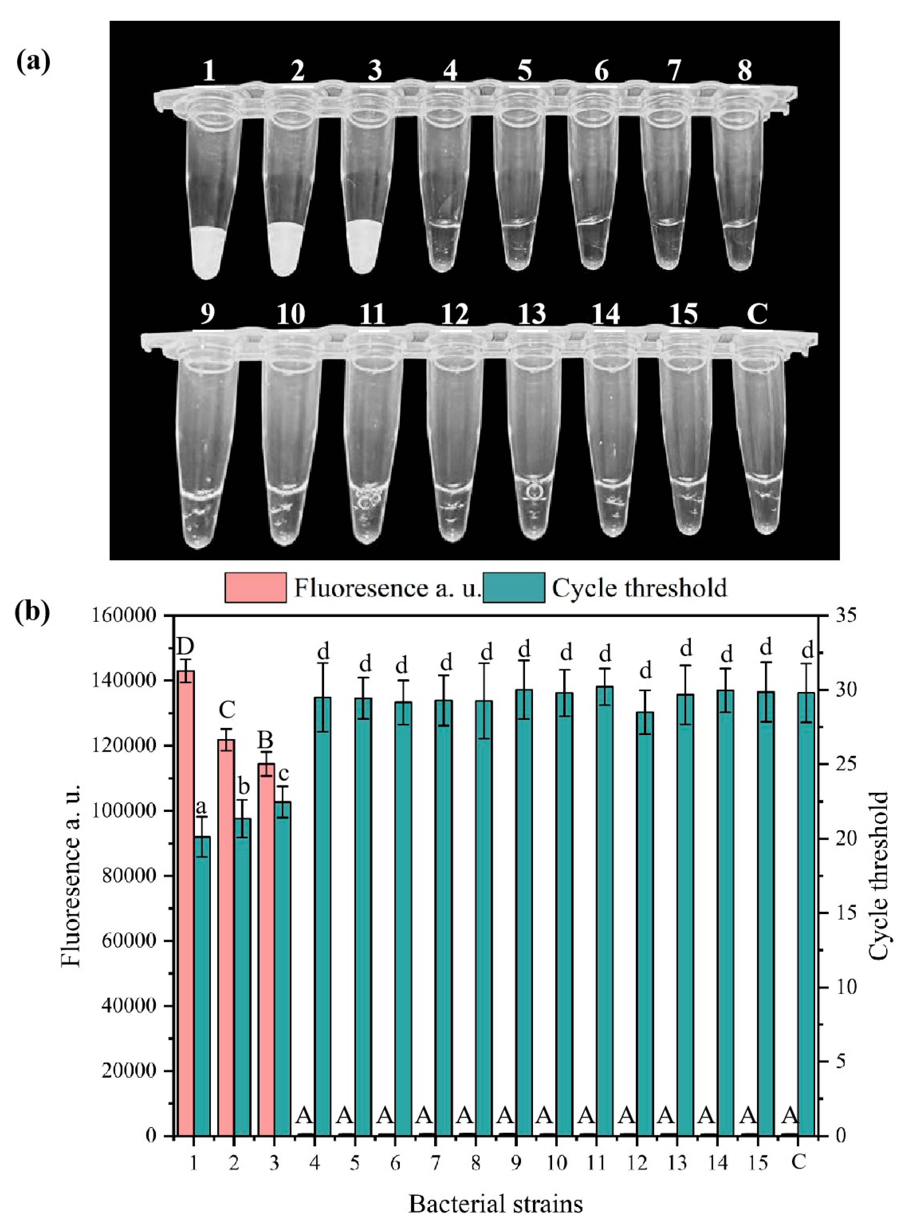 Microorganisms 13 01166 g004