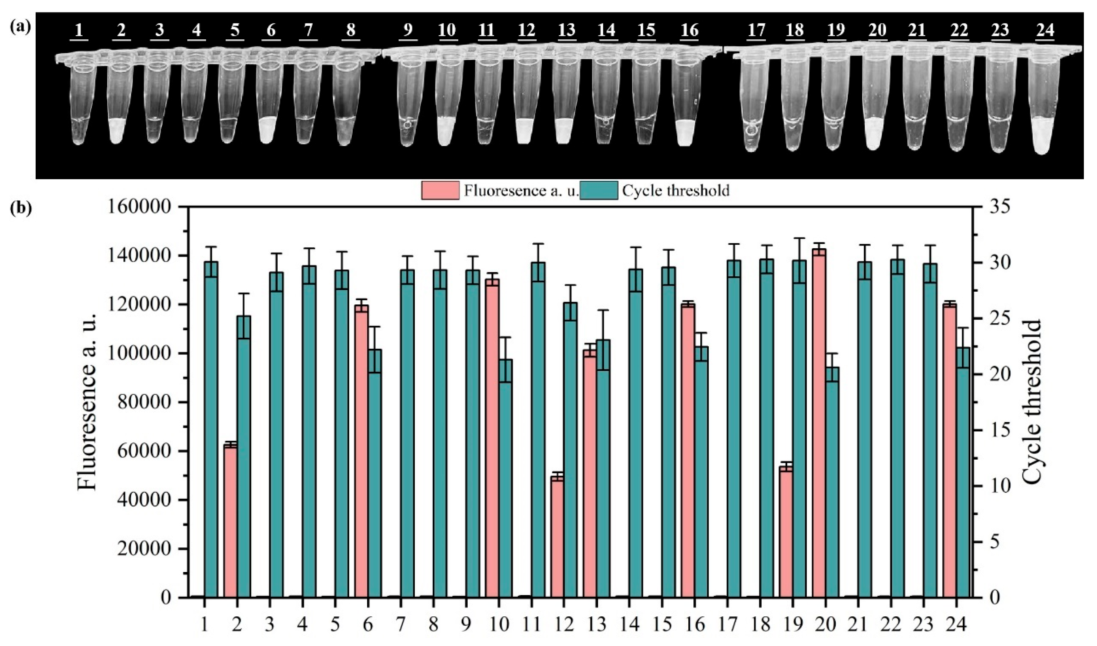 Microorganisms 13 01166 g007