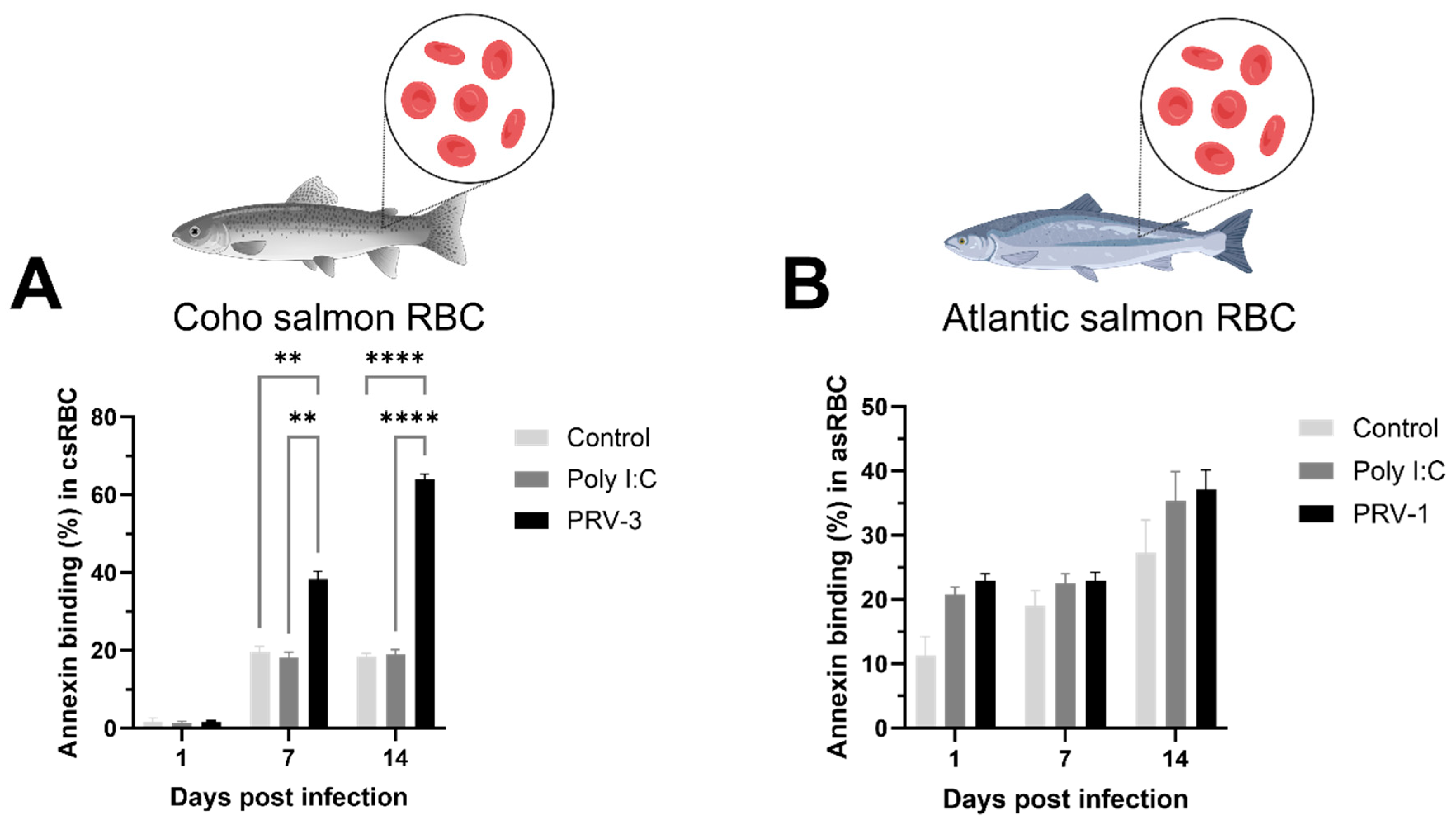 Microorganisms 13 01167 g004