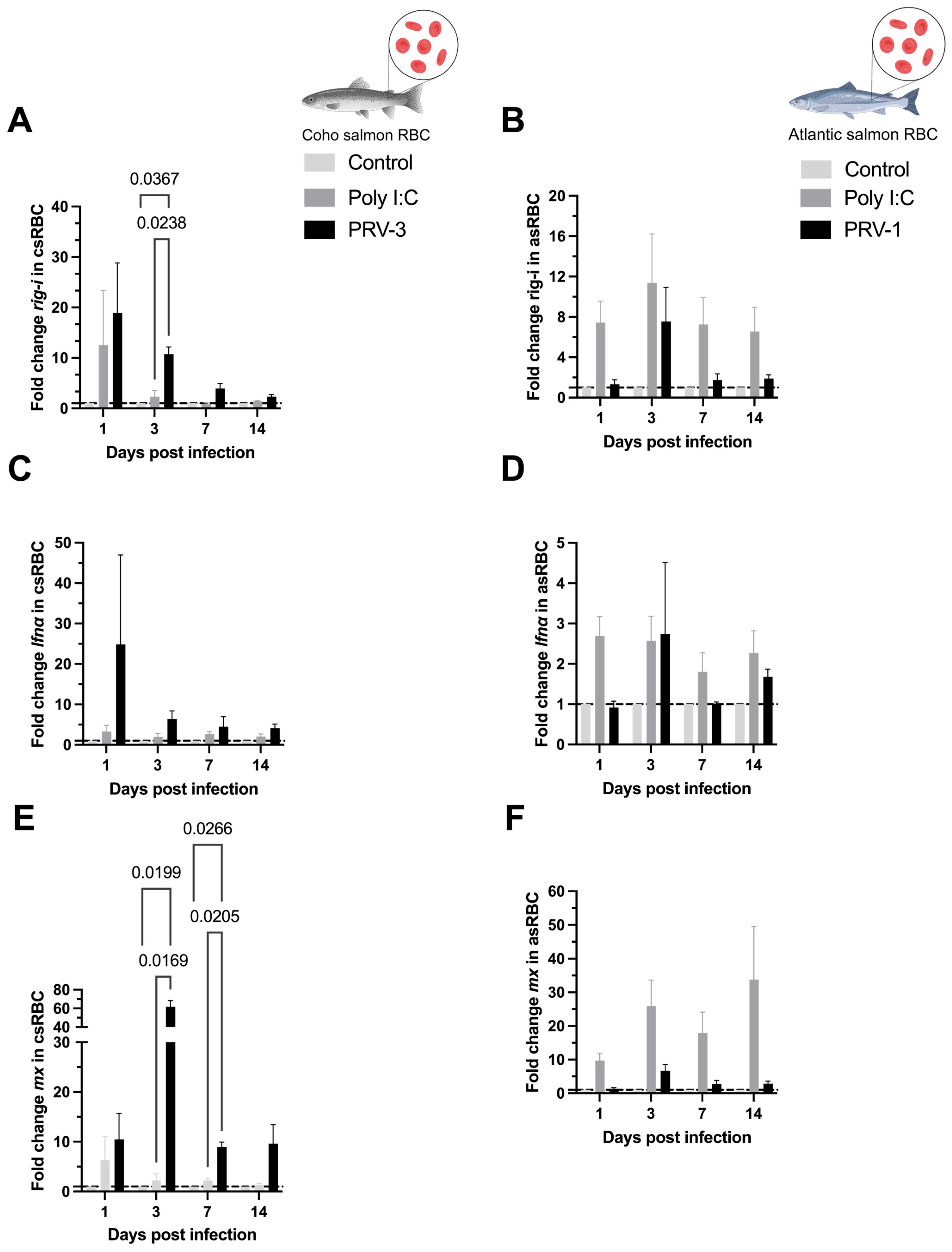 Microorganisms 13 01167 g005
