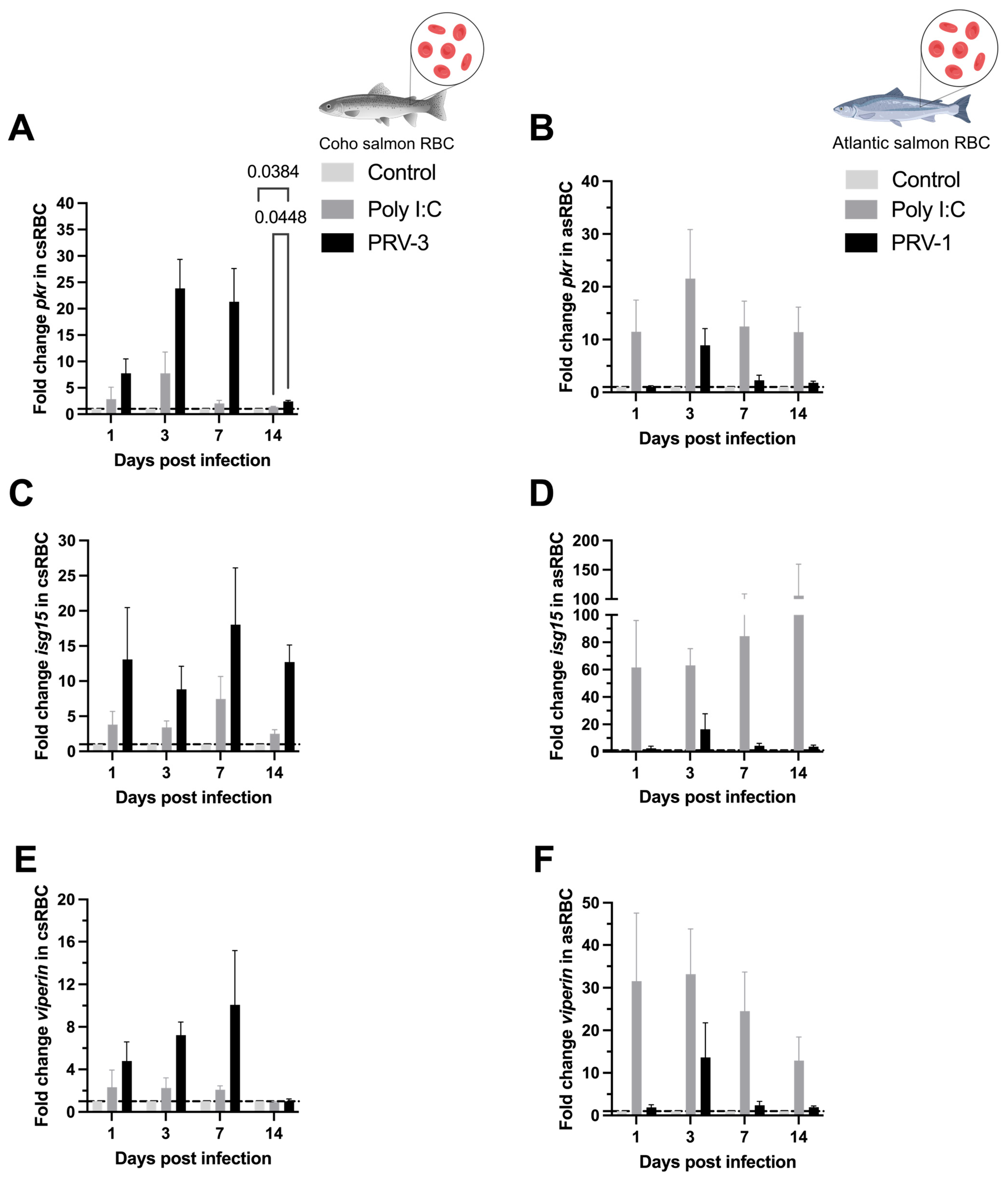 Microorganisms 13 01167 g006
