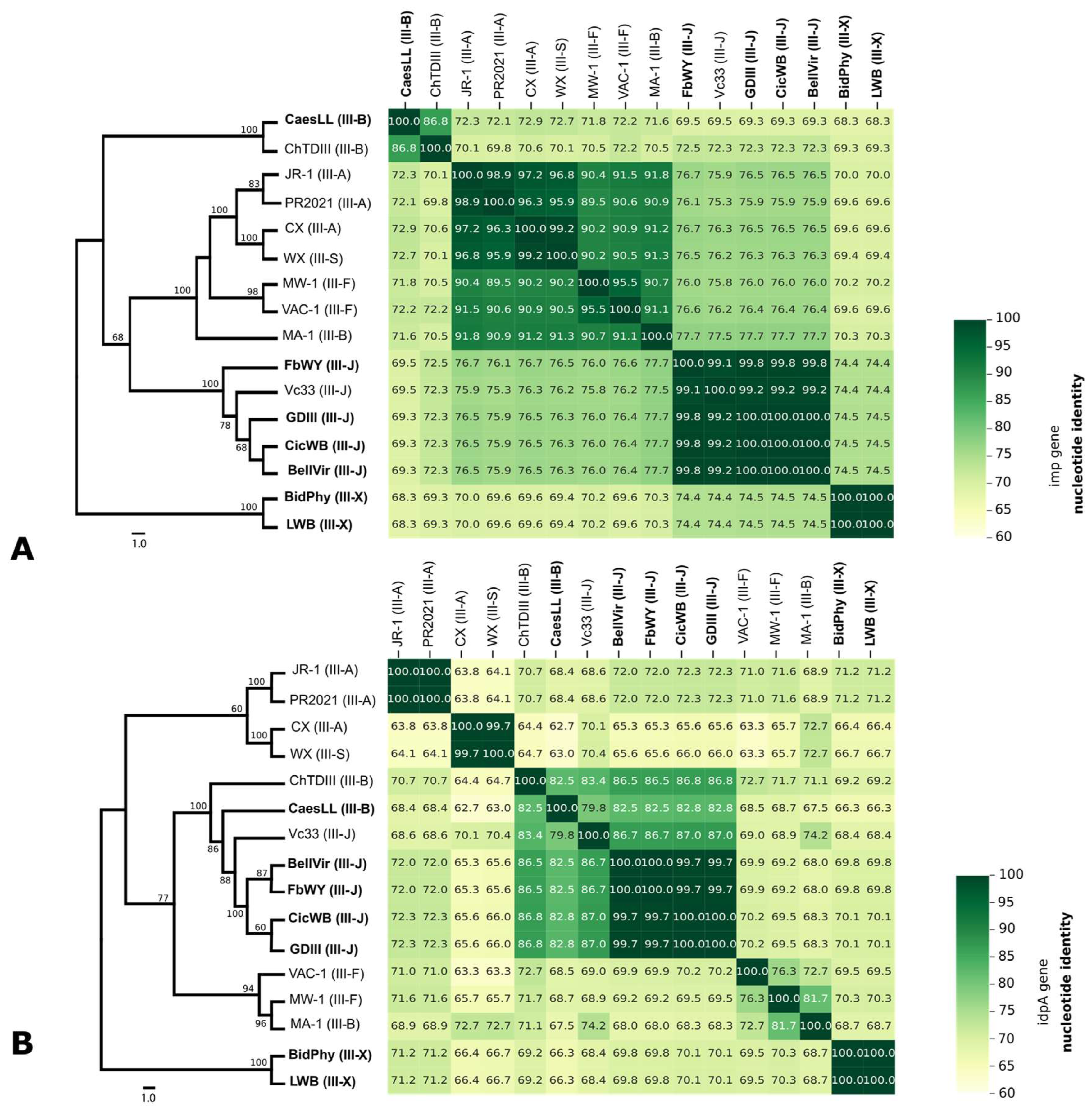 Microorganisms 13 01170 g002 Microorganisms 13 01170 g002