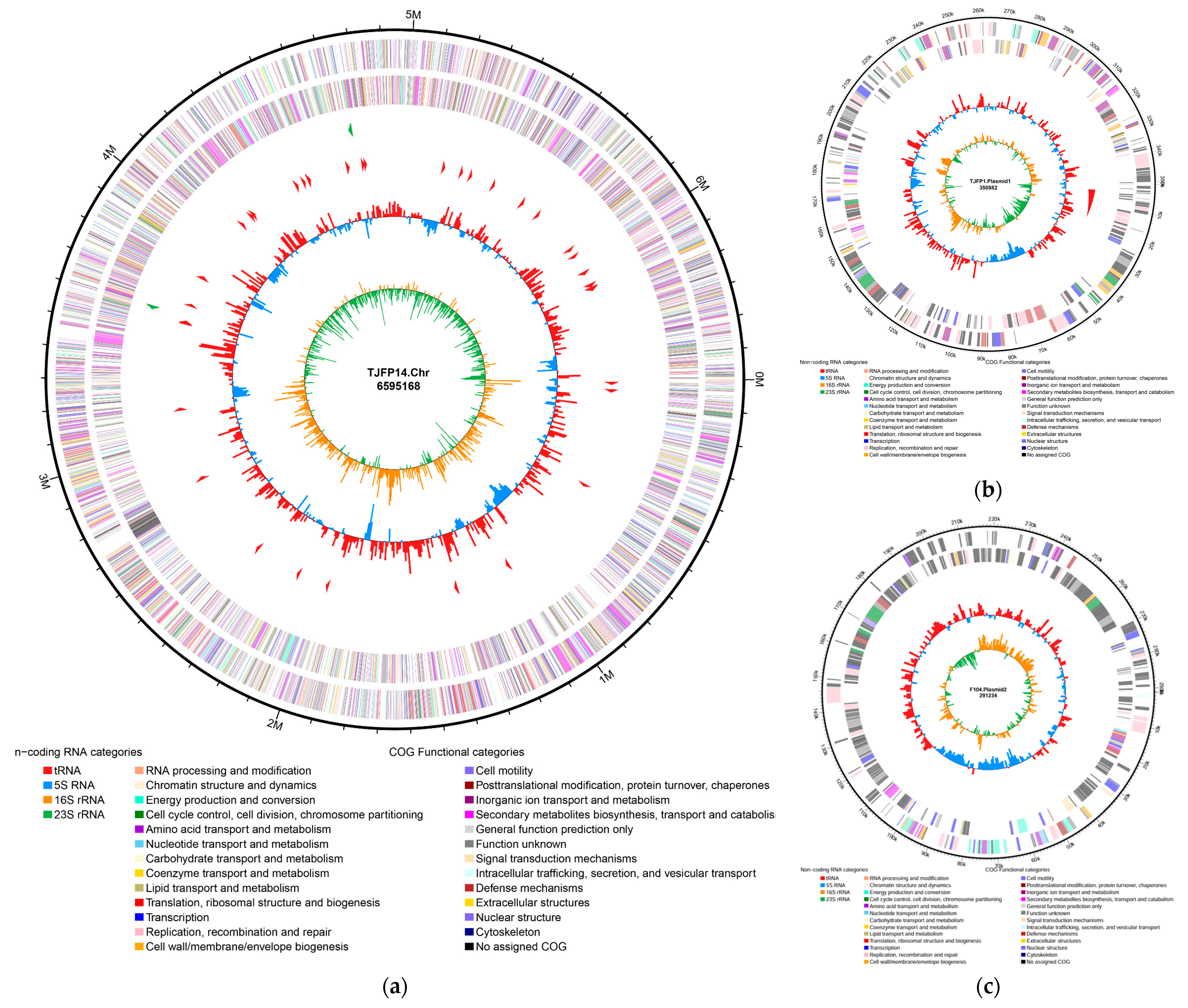 Microorganisms 13 01171 g004