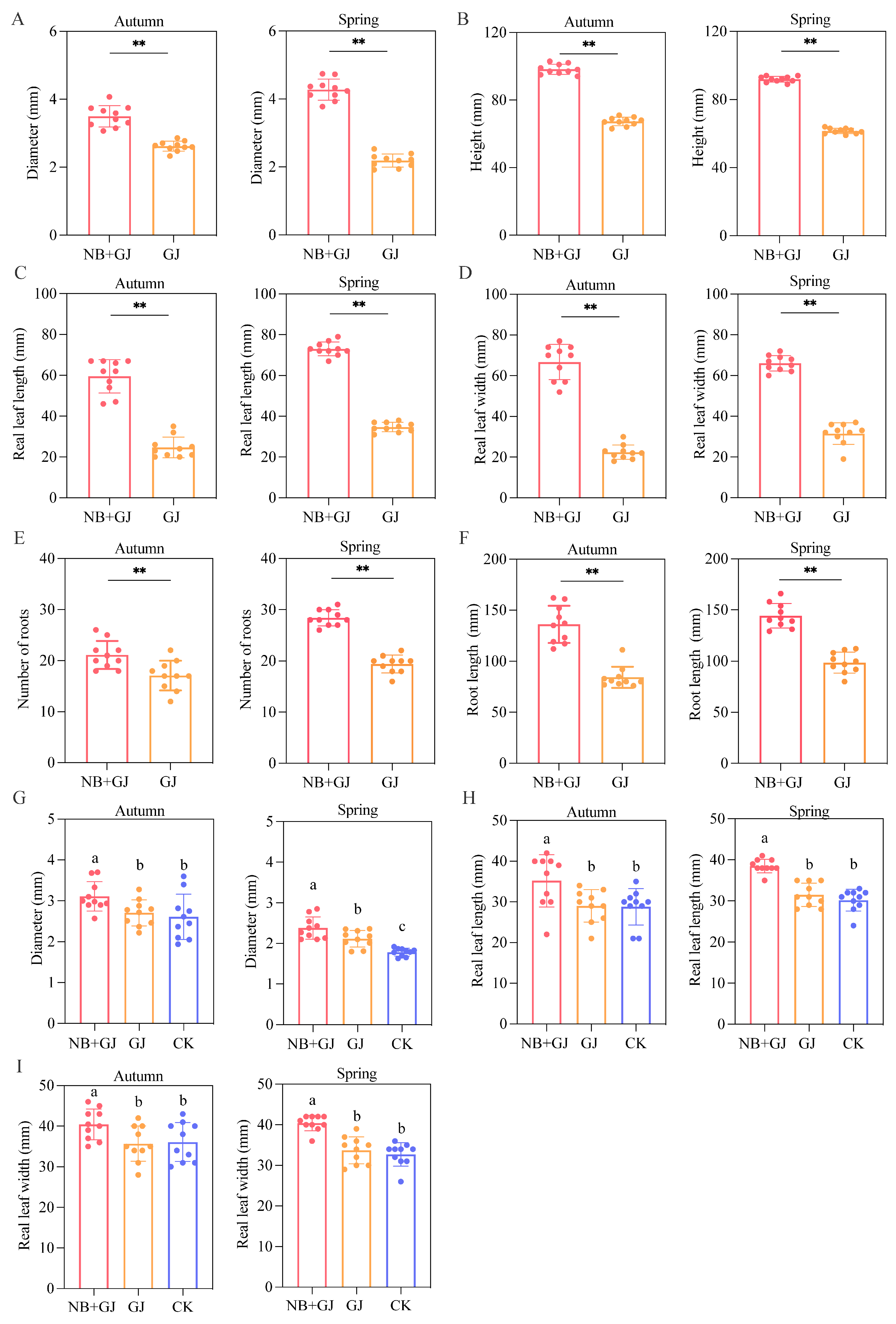 Microorganisms 13 01172 g001