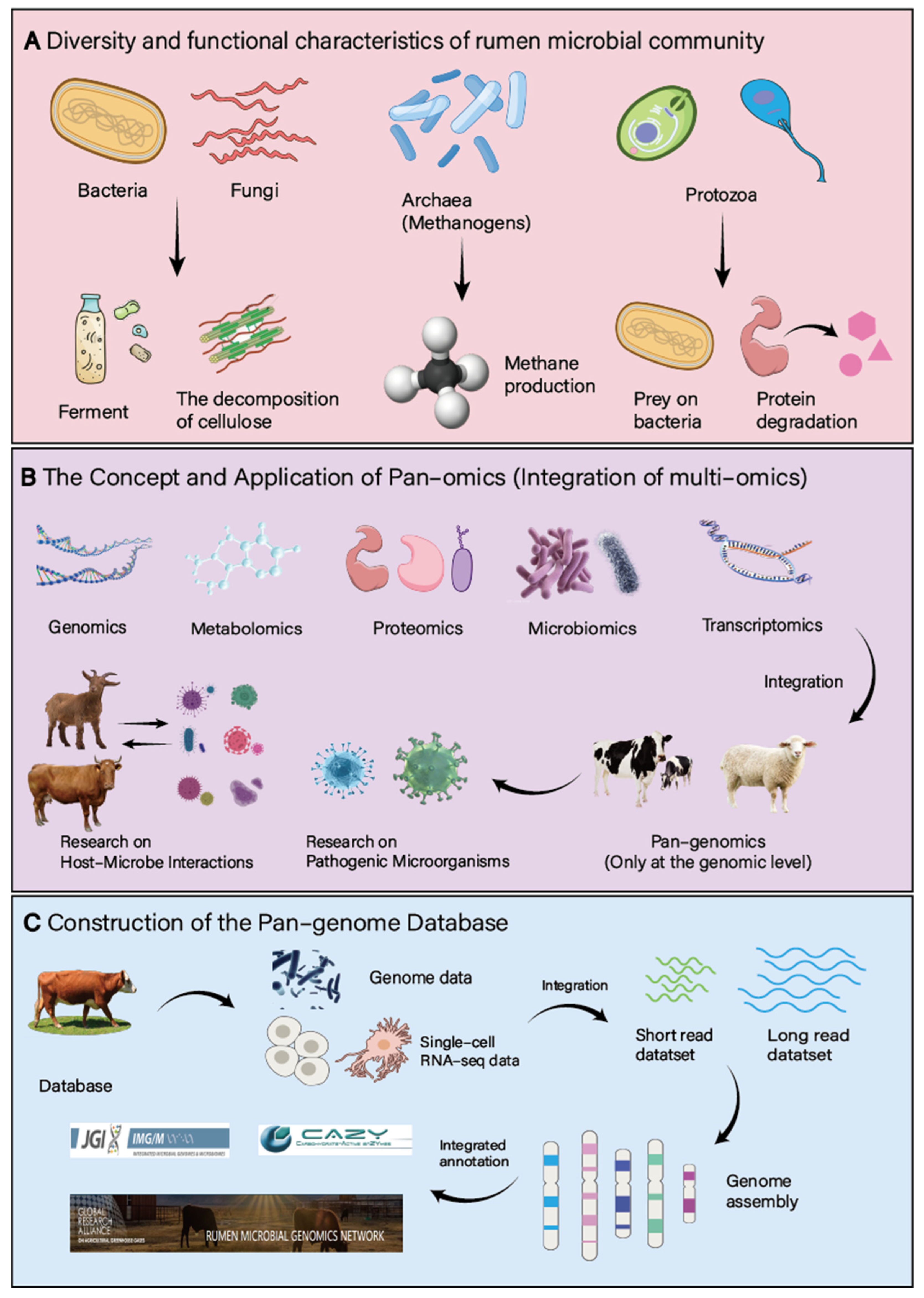 Microorganisms 13 01175 g001