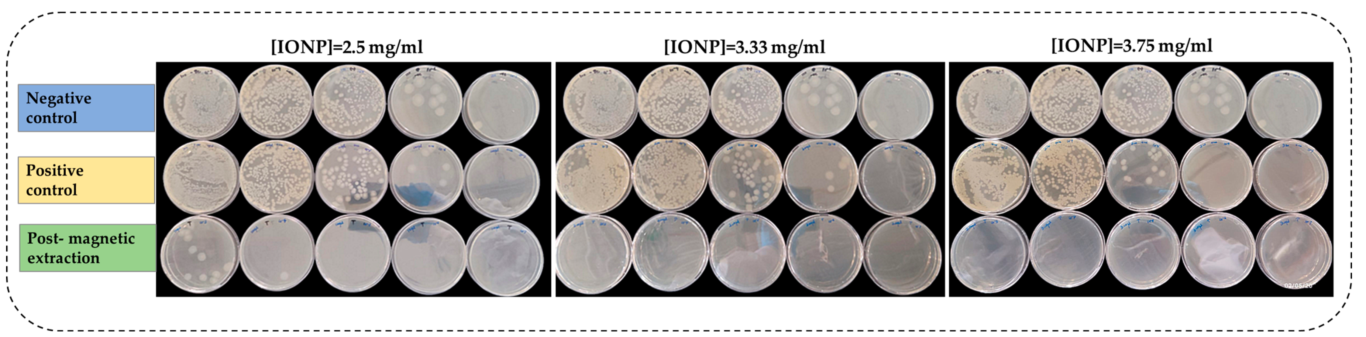 Microorganisms 13 01176 g003