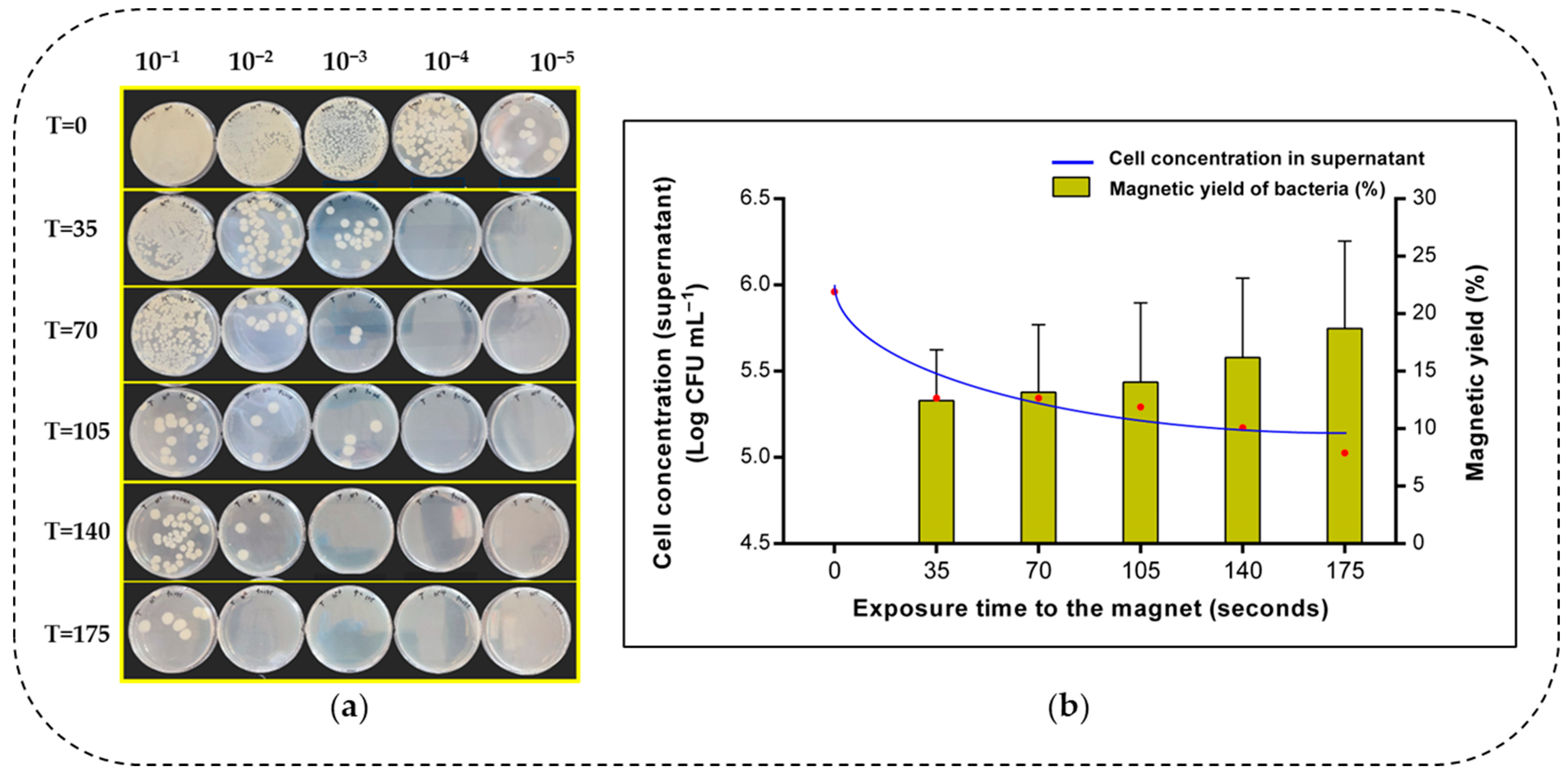 Microorganisms 13 01176 g006