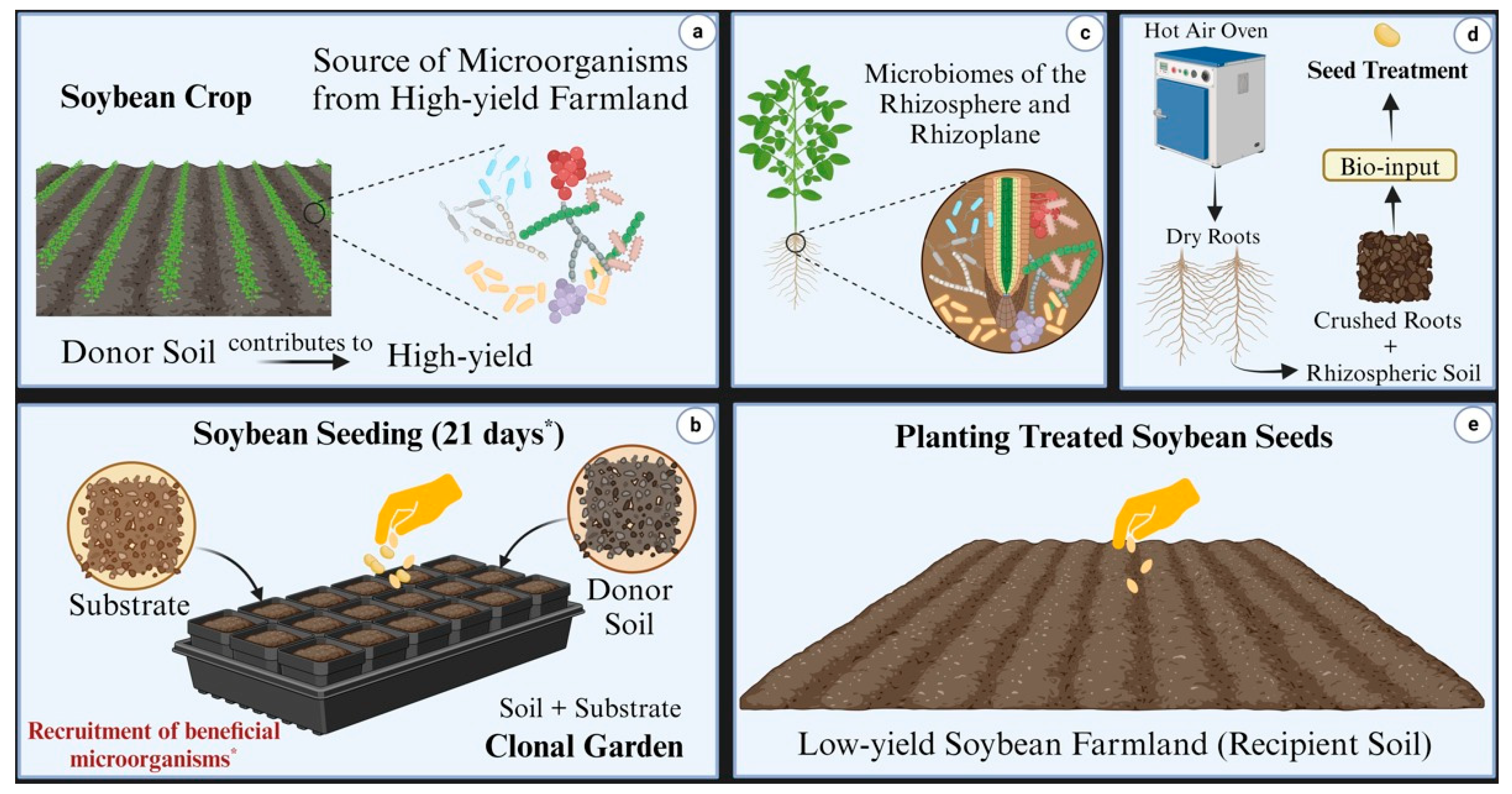Microorganisms 13 01177 g002