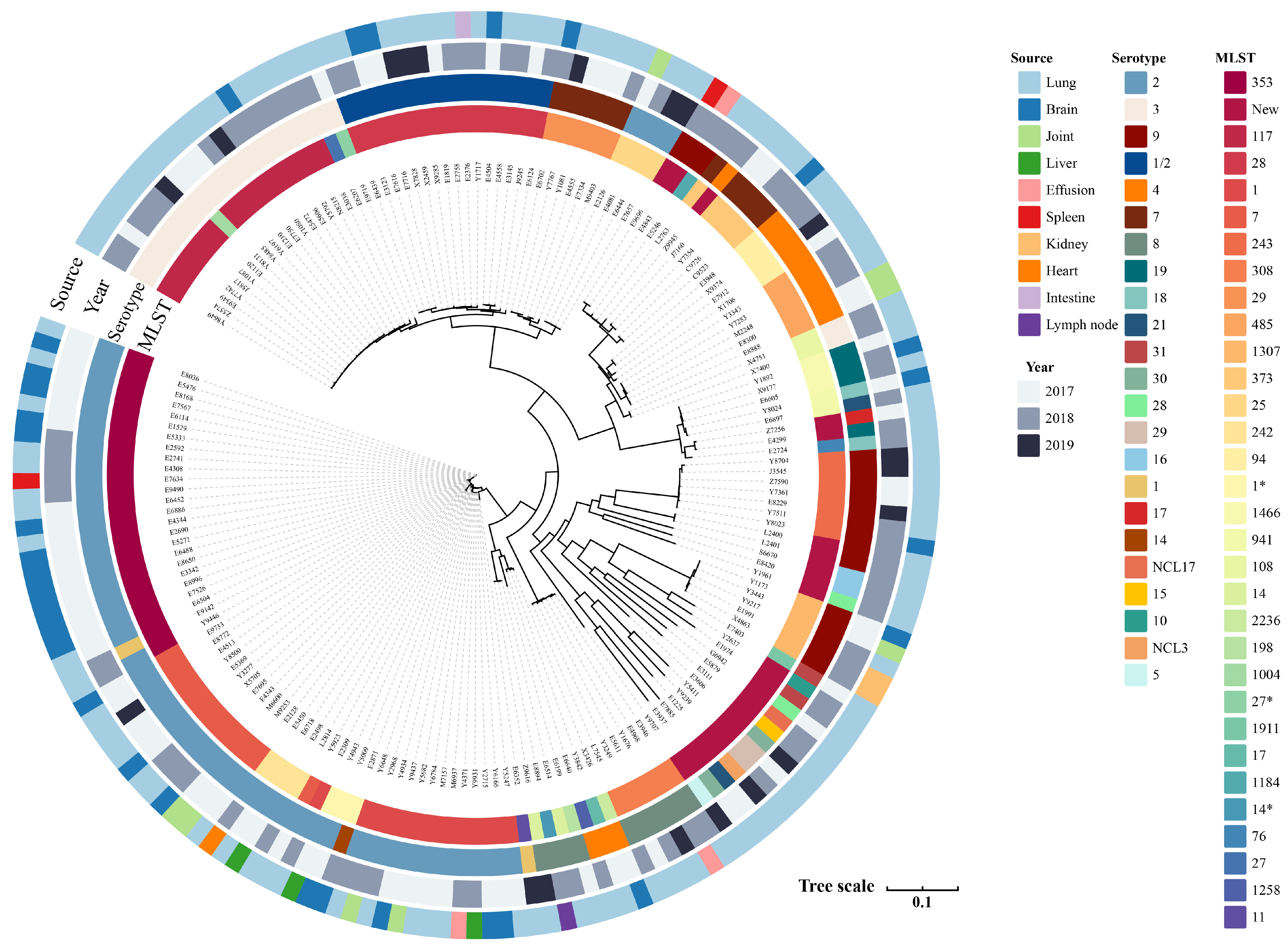 Microorganisms 13 01197 g001