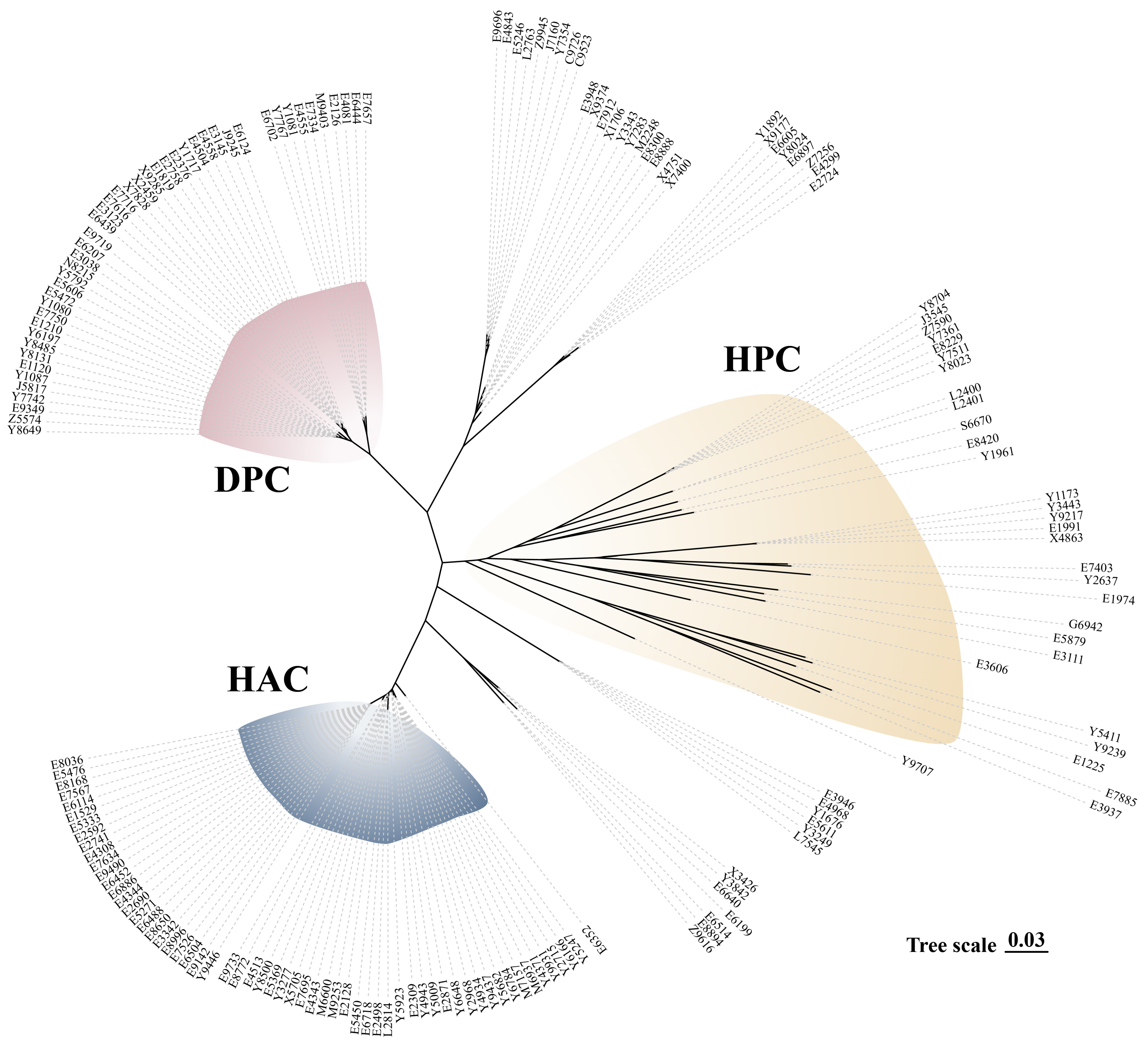 Microorganisms 13 01197 g002