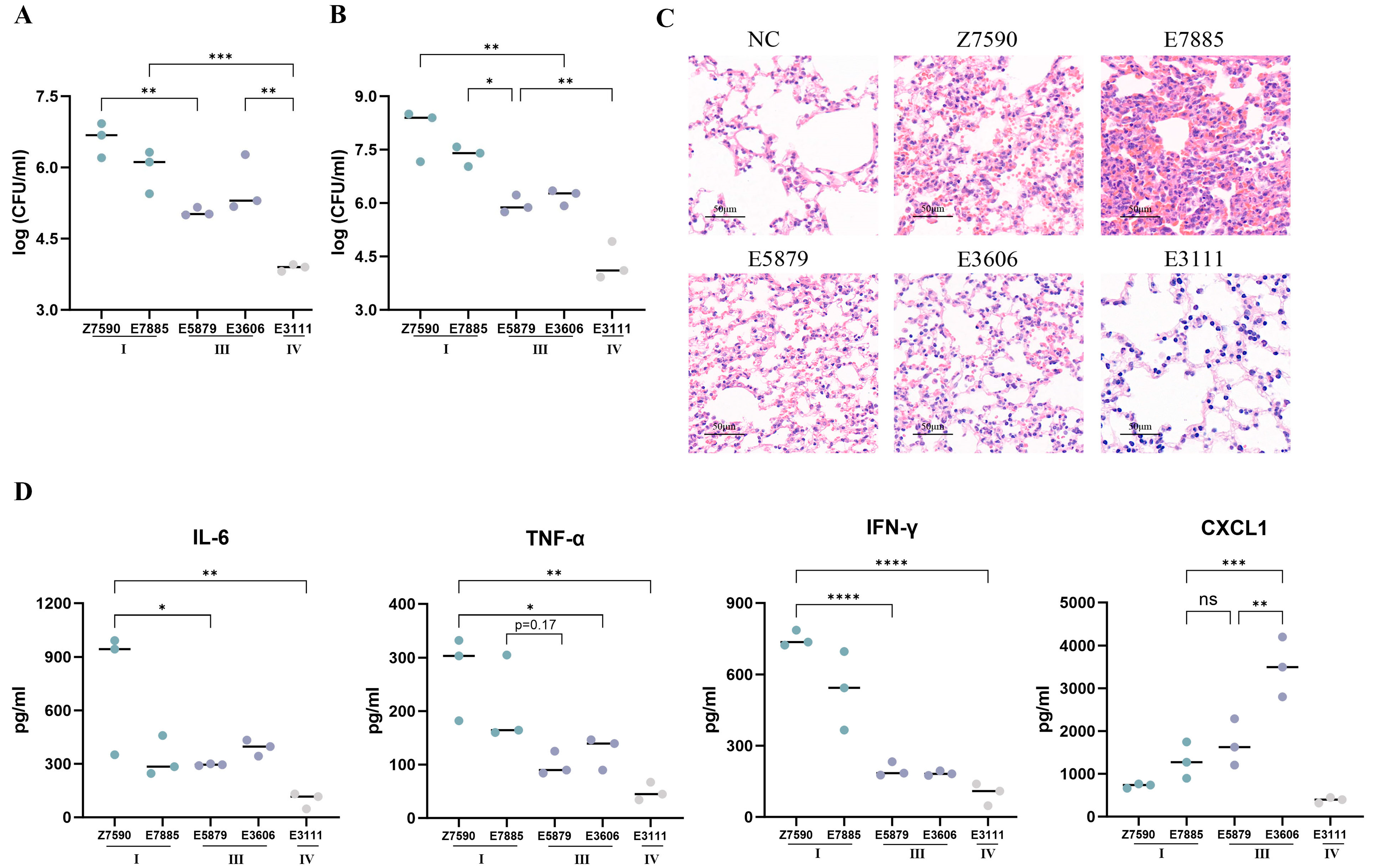 Microorganisms 13 01197 g004