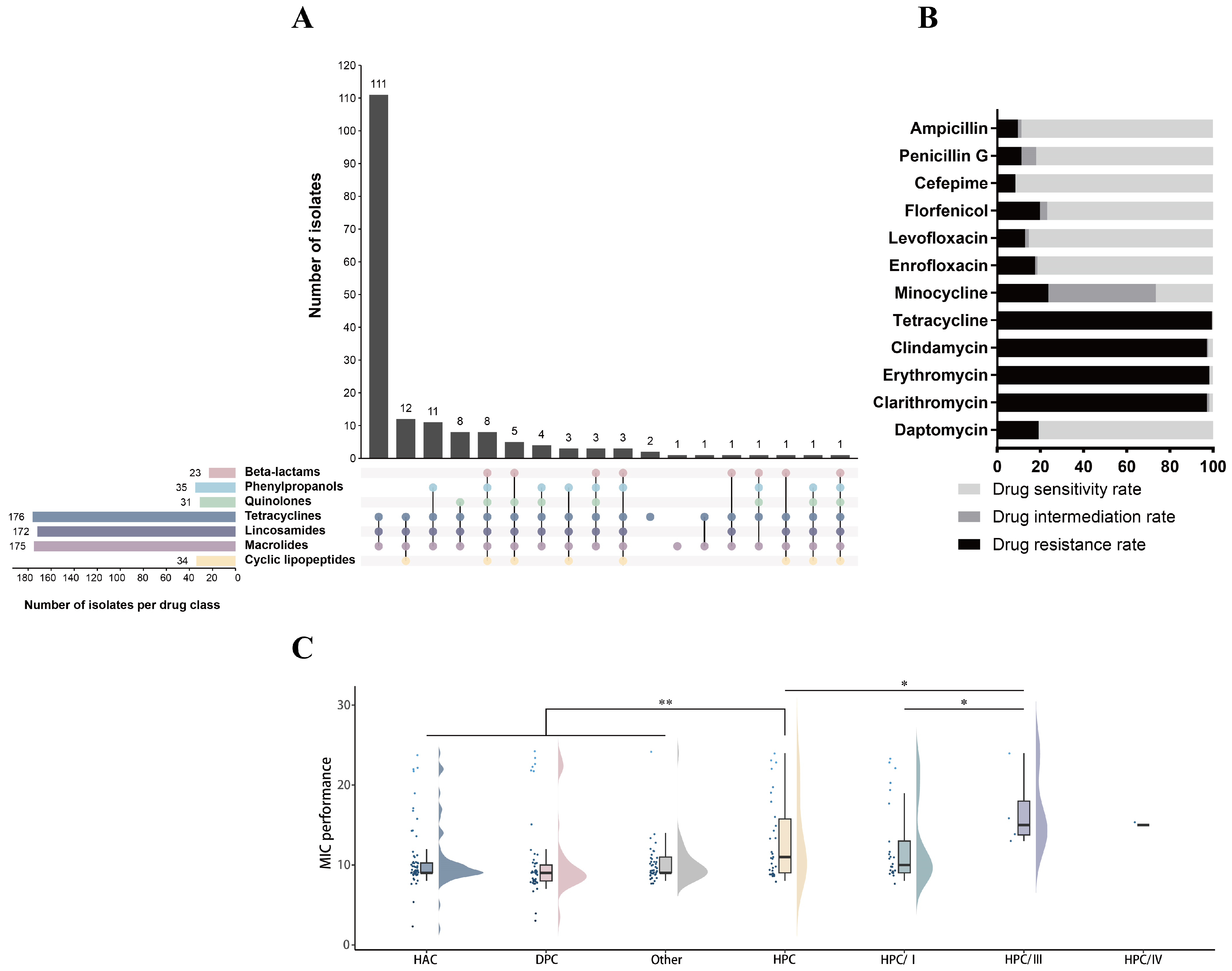 Microorganisms 13 01197 g005