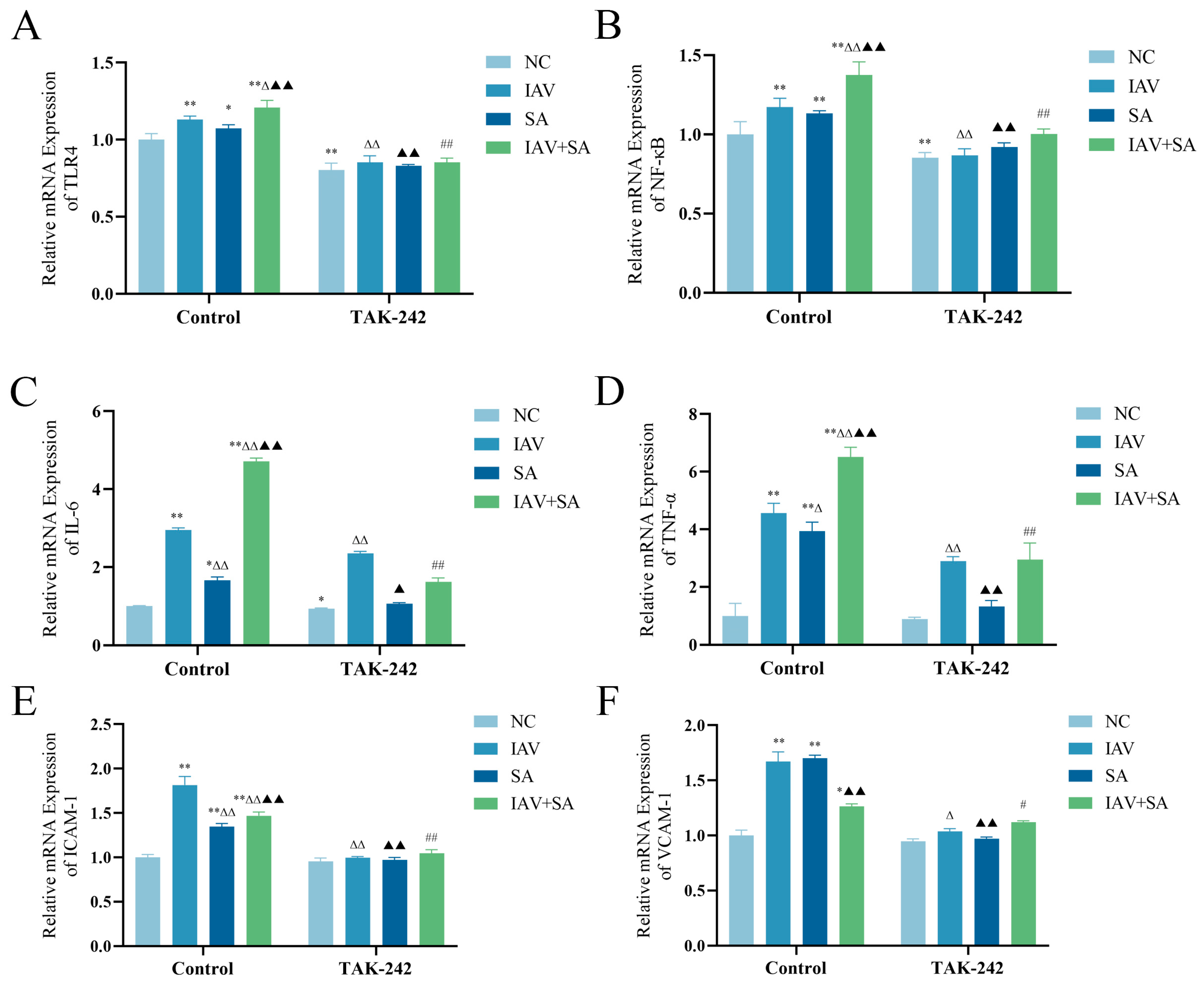 Microorganisms 13 01201 g004