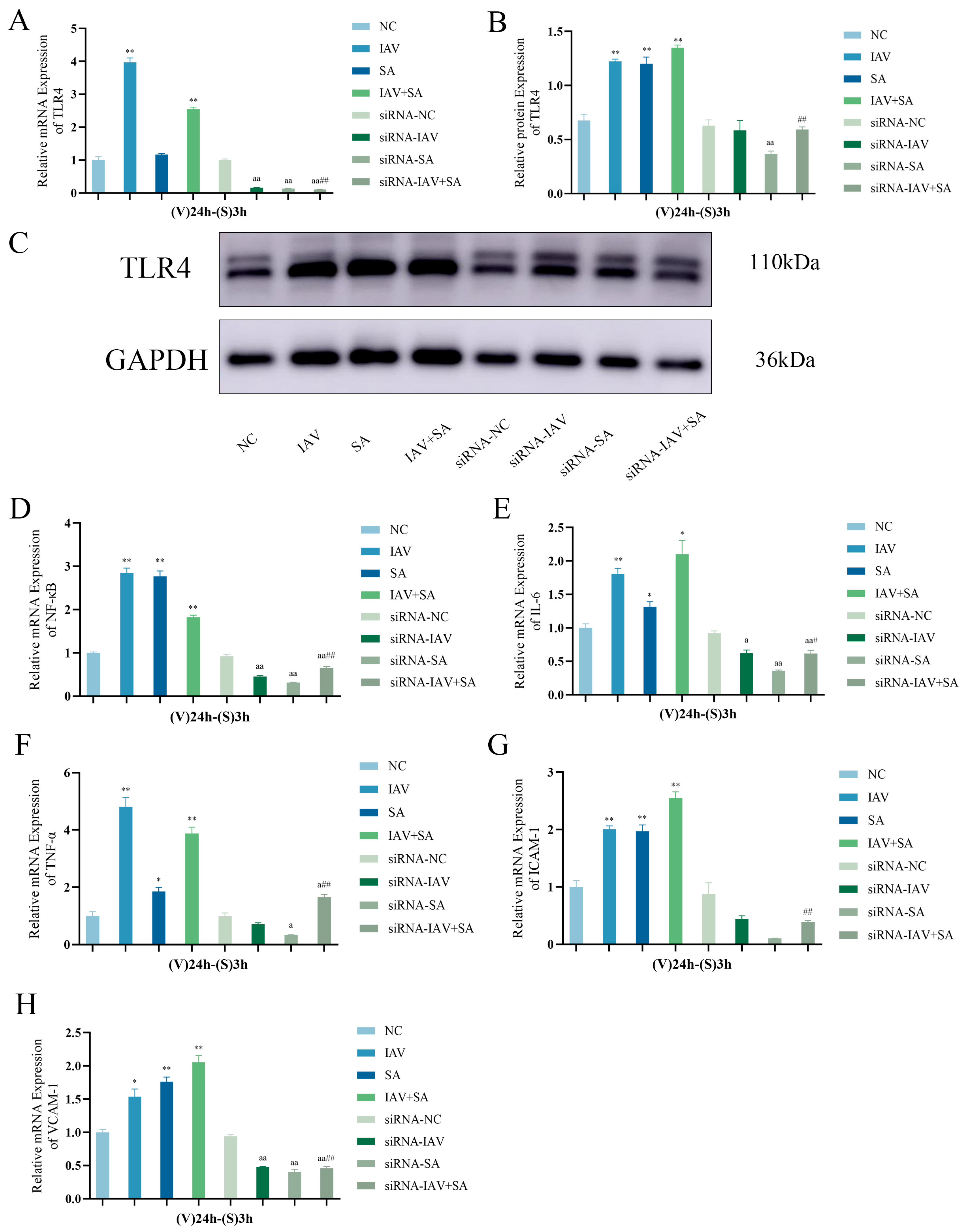 Microorganisms 13 01201 g005
