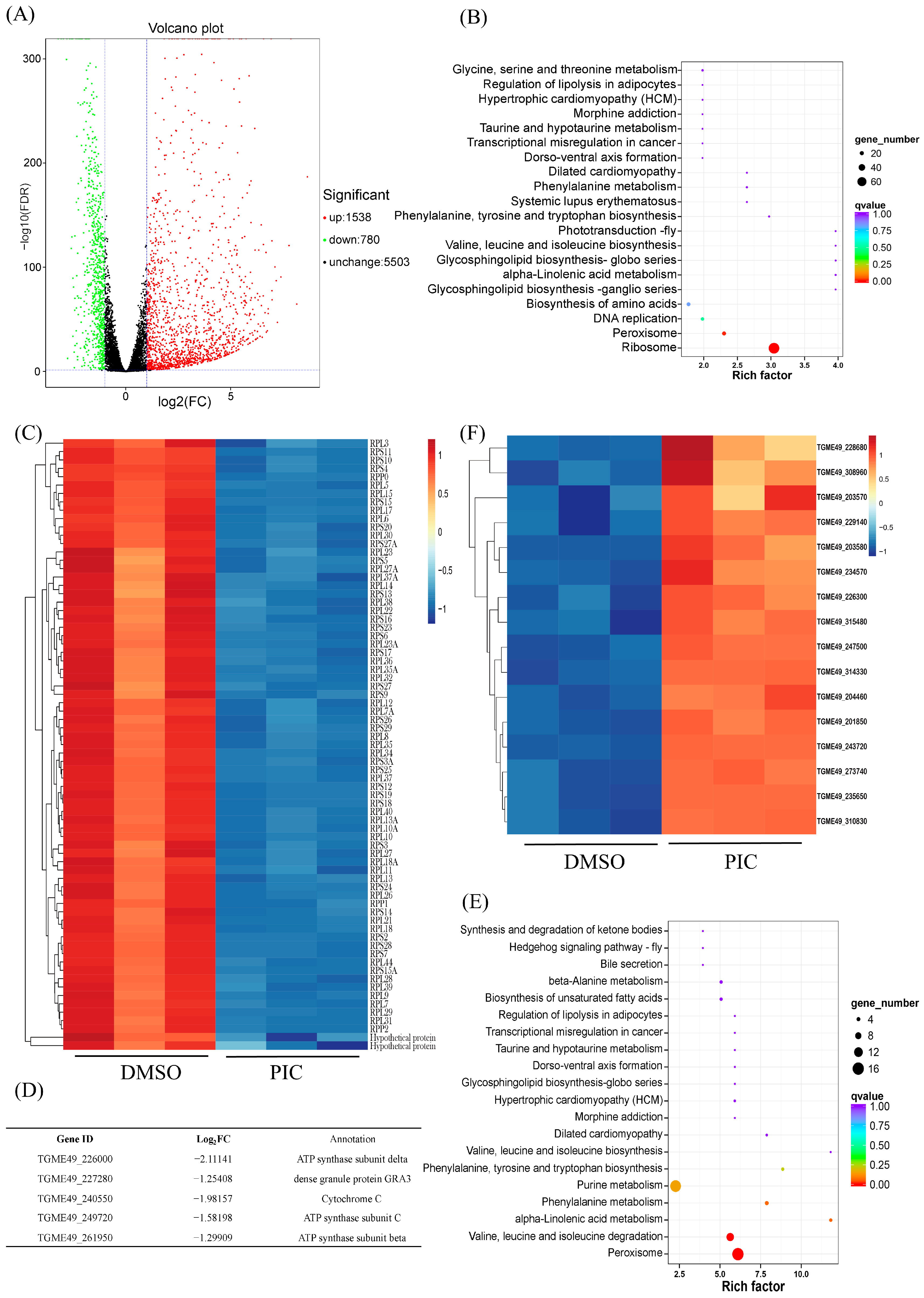 Microorganisms 13 01203 g003