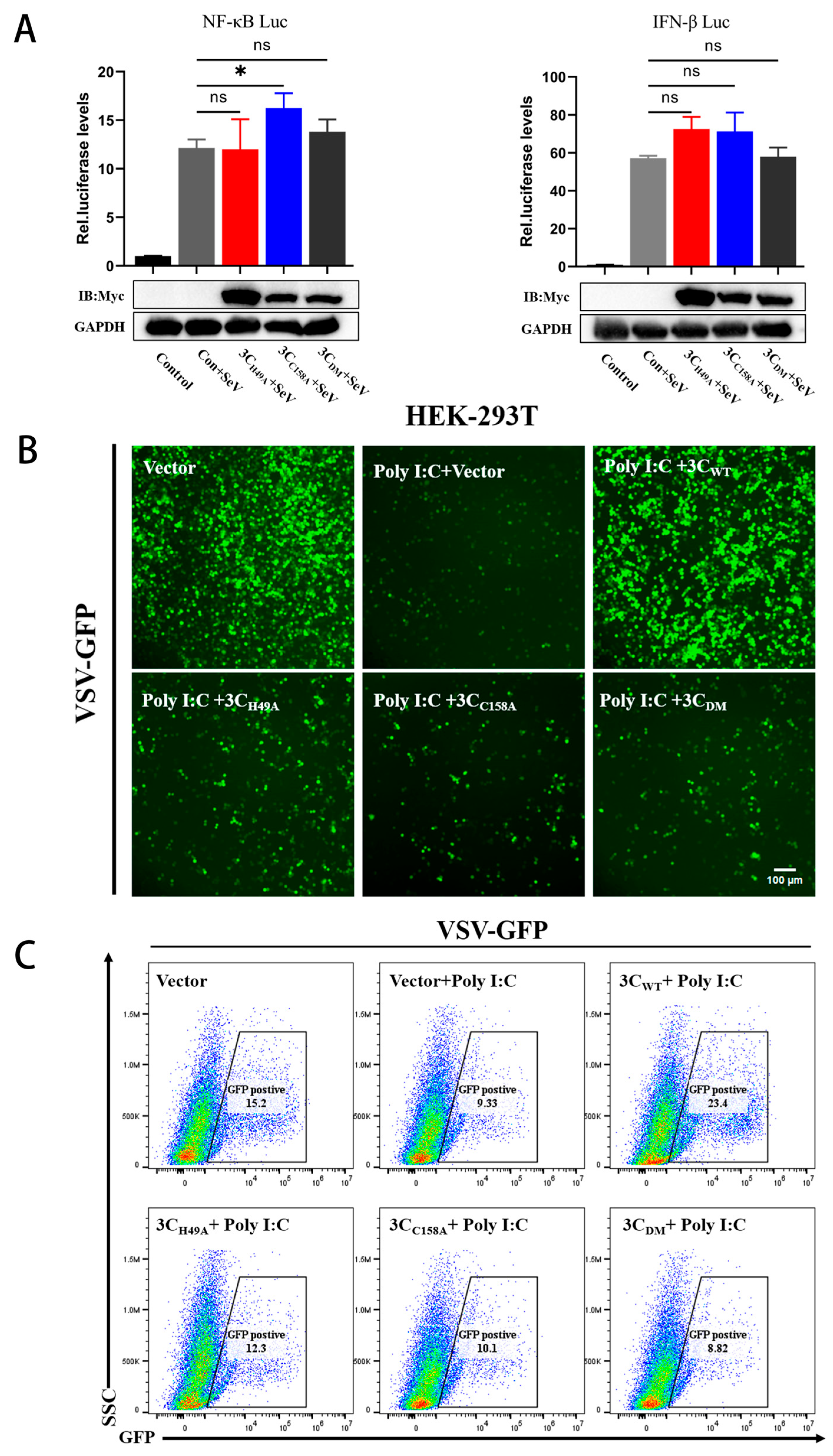 Microorganisms 13 01209 g005