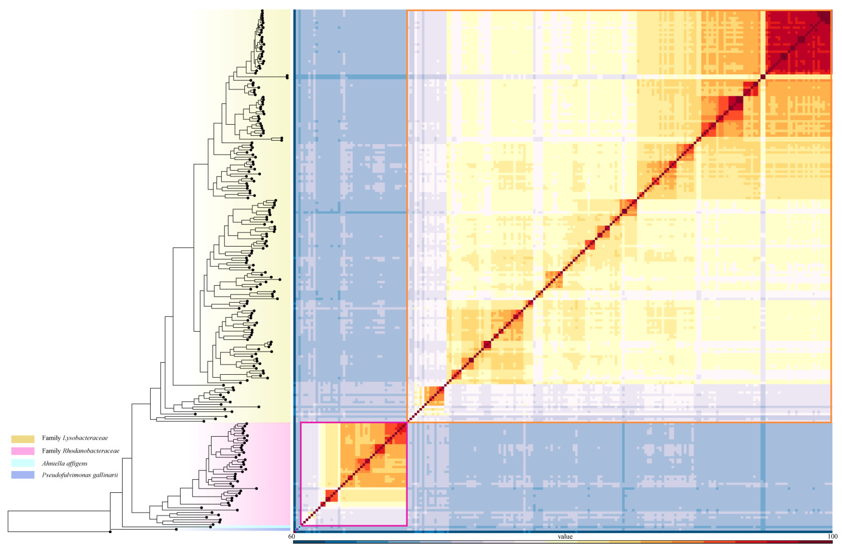 Microorganisms 13 01212 g004