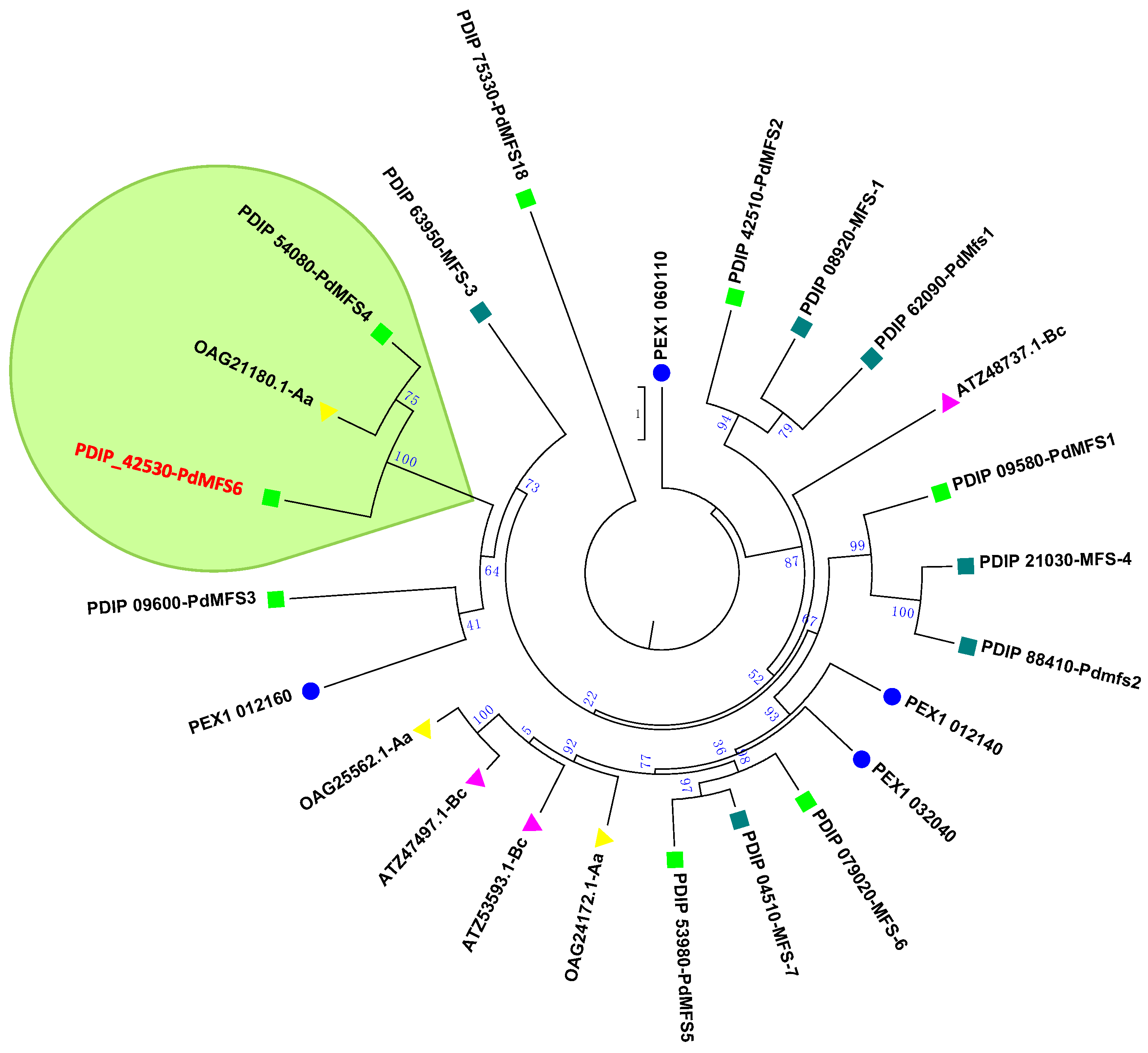 Microorganisms 13 01213 g001