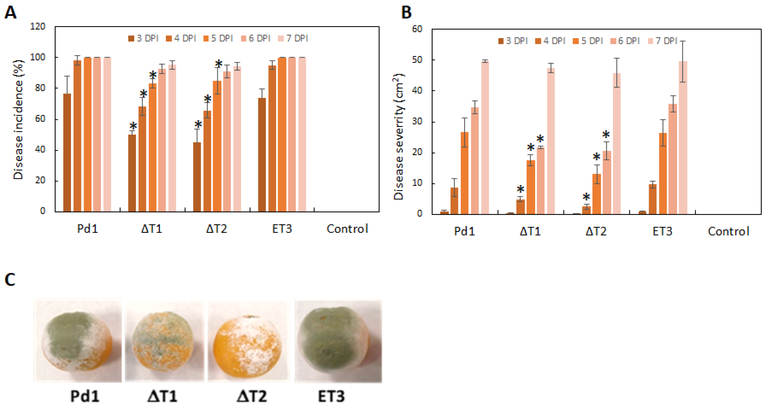 Microorganisms 13 01213 g005