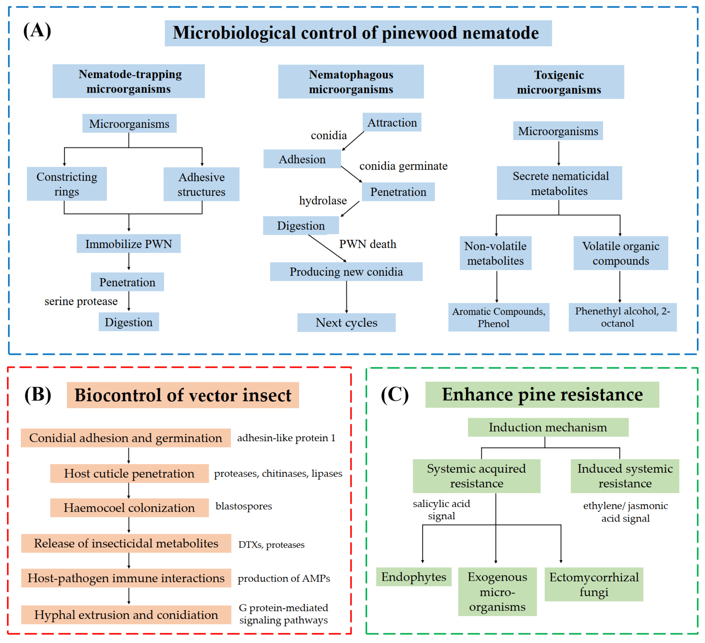 Microorganisms 13 01215 g002
