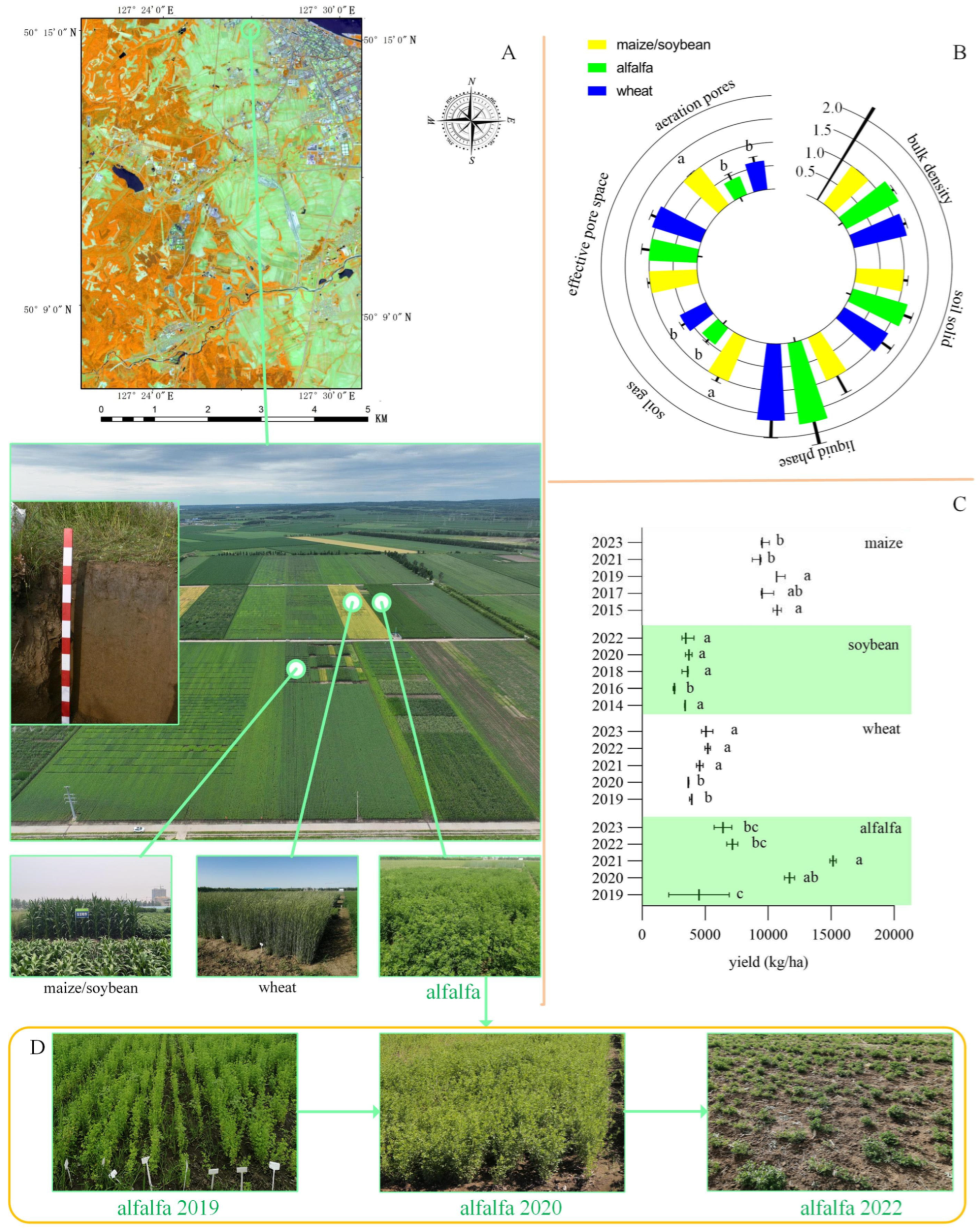 Microorganisms 13 01216 g001