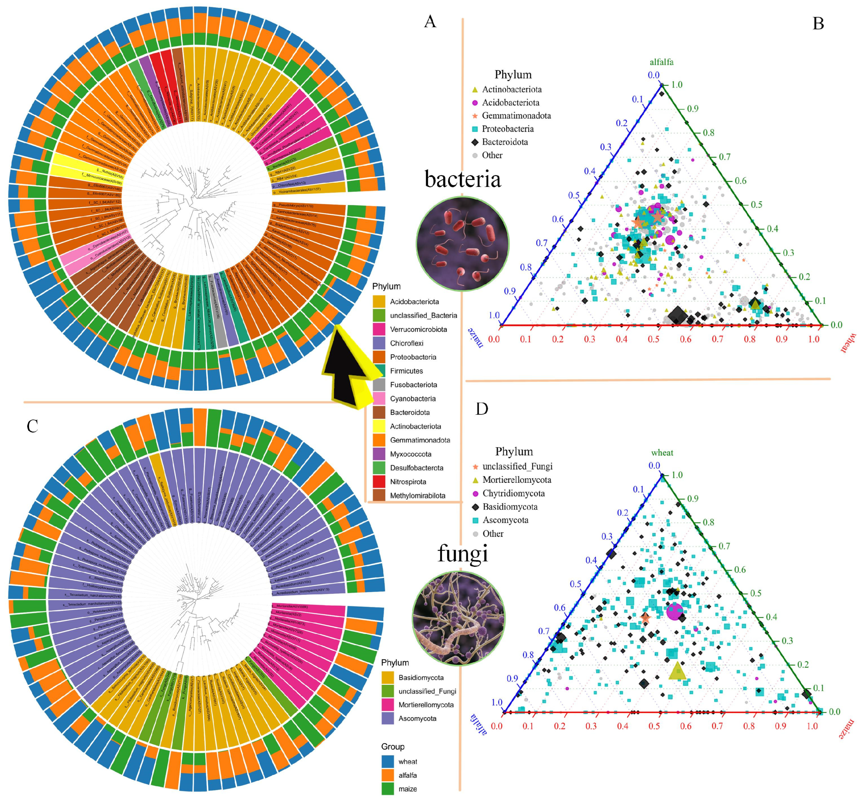 Microorganisms 13 01216 g002