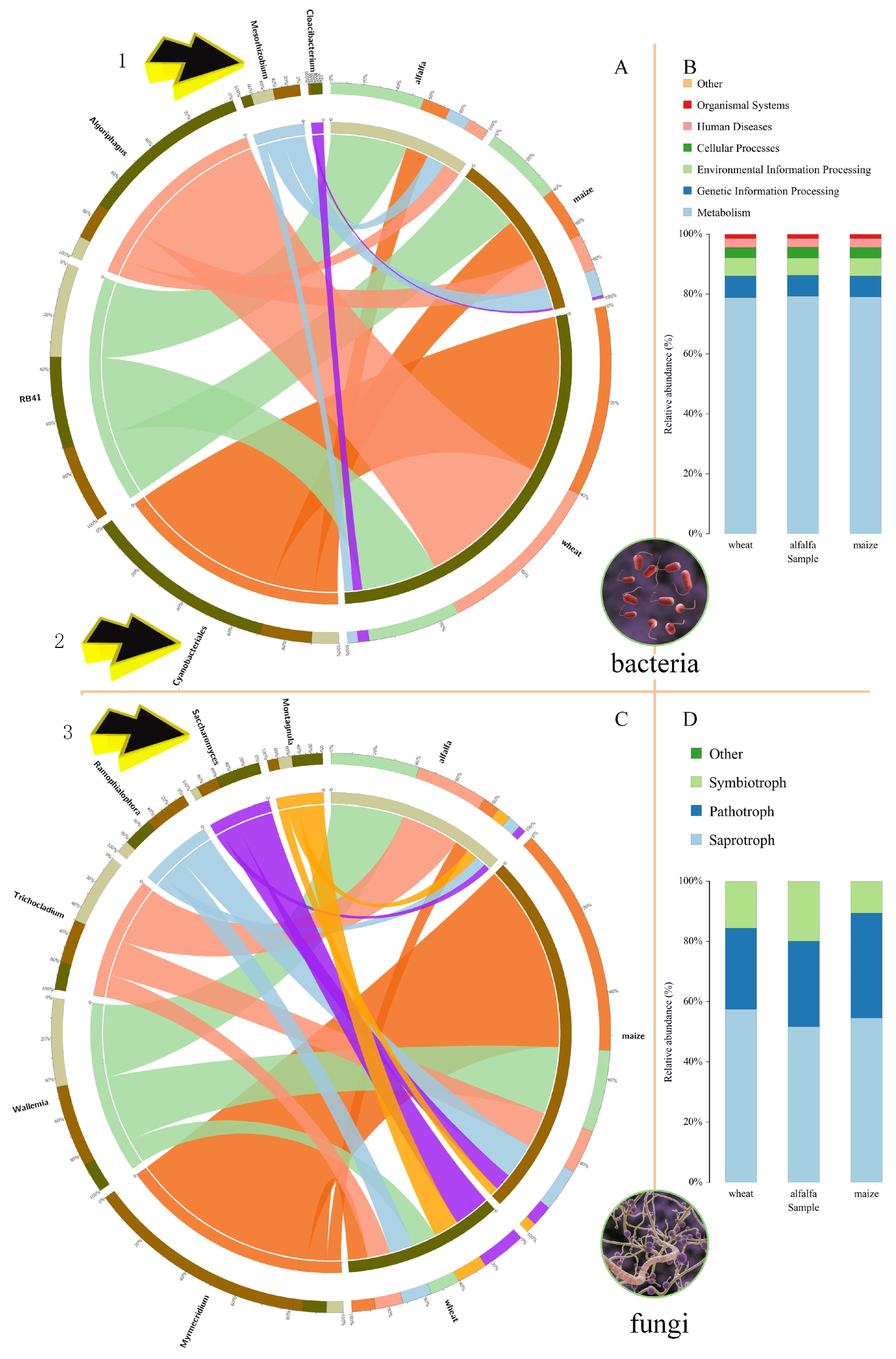 Microorganisms 13 01216 g004