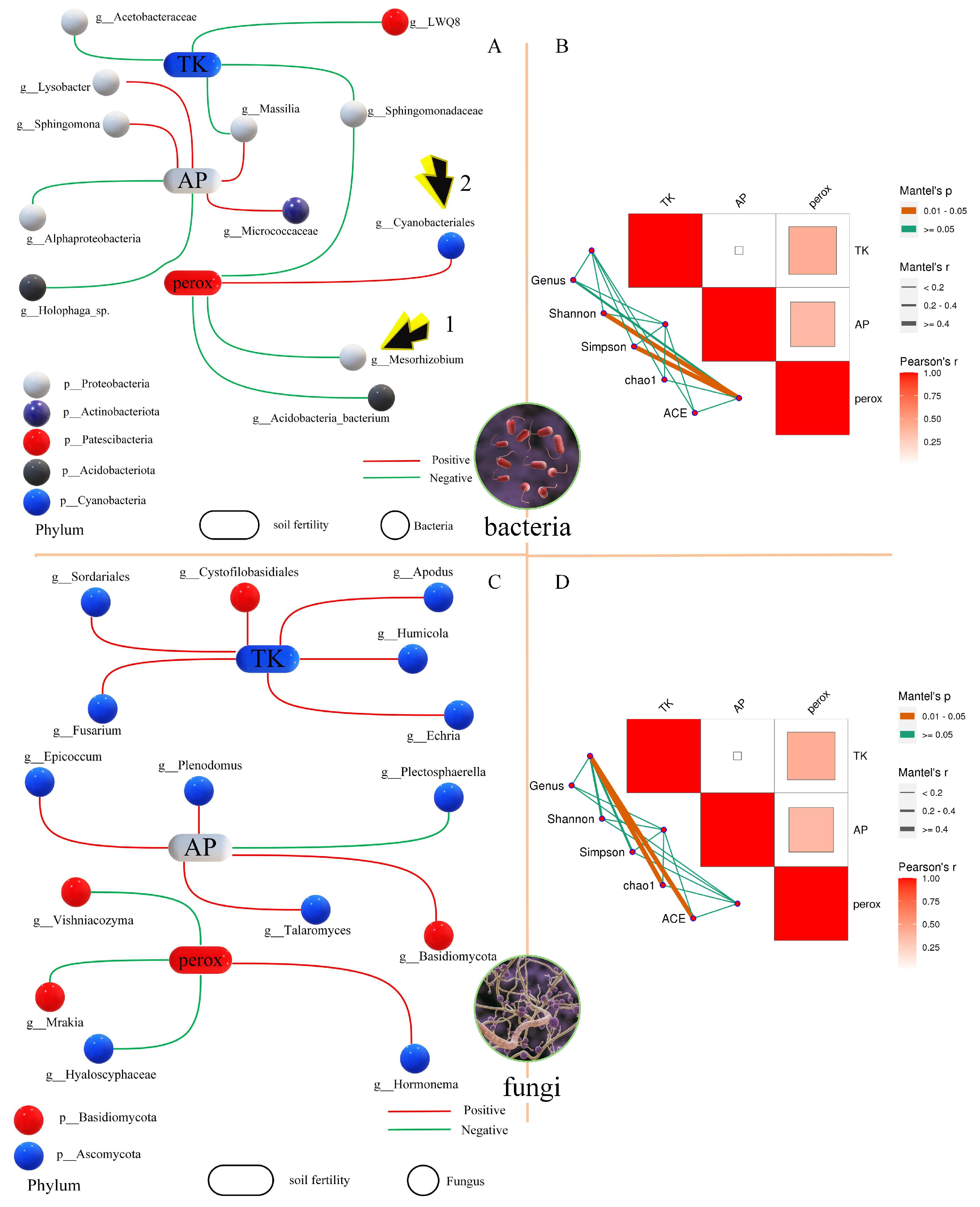 Microorganisms 13 01216 g005