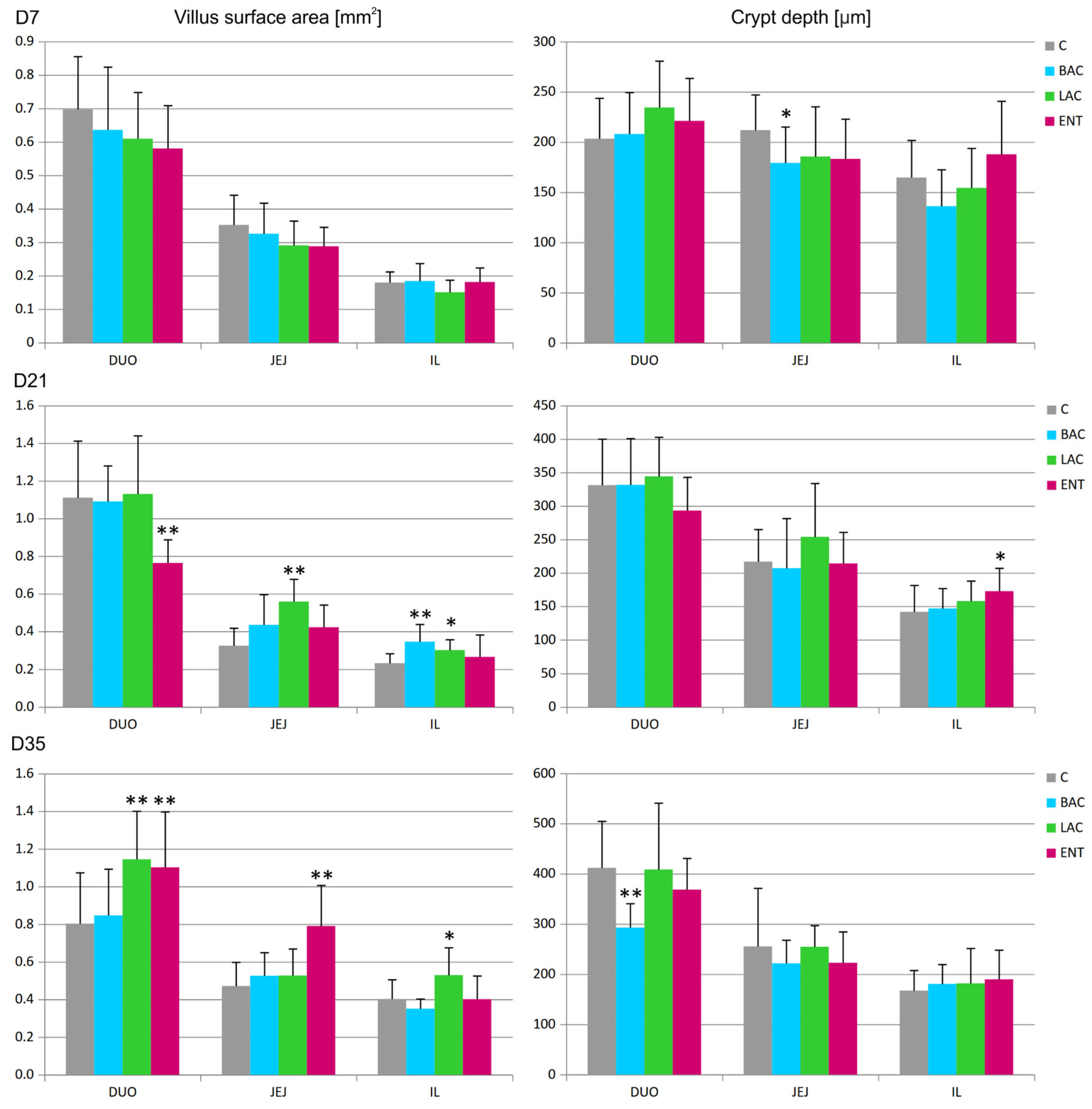 Microorganisms 13 01219 g001