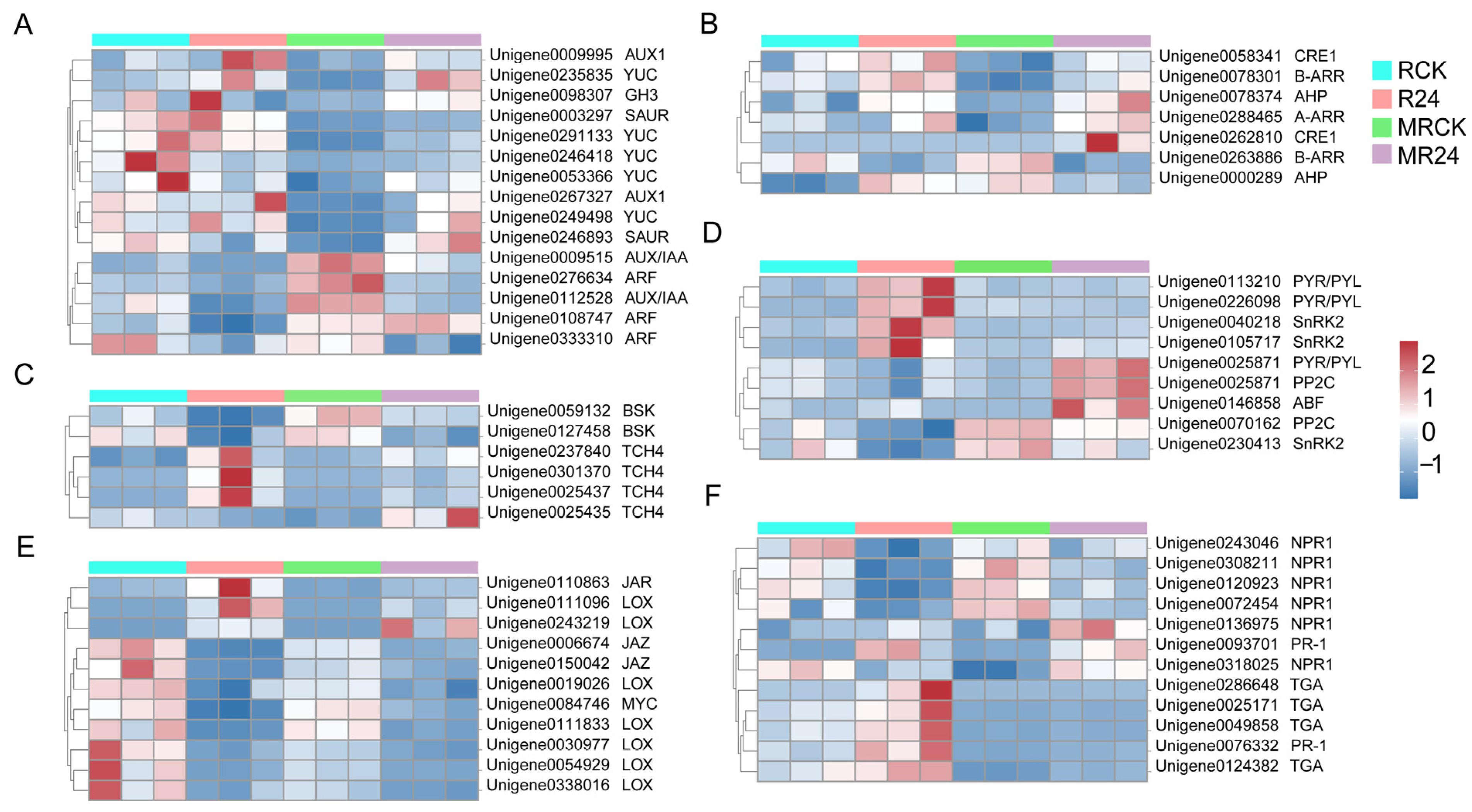 Microorganisms 13 01225 g006