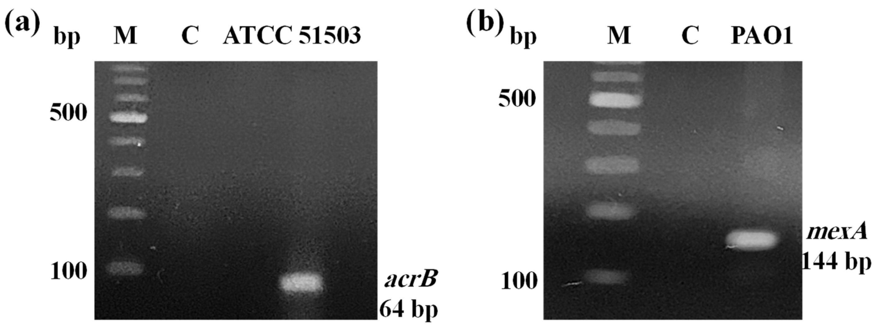 Microorganisms 13 01227 g001