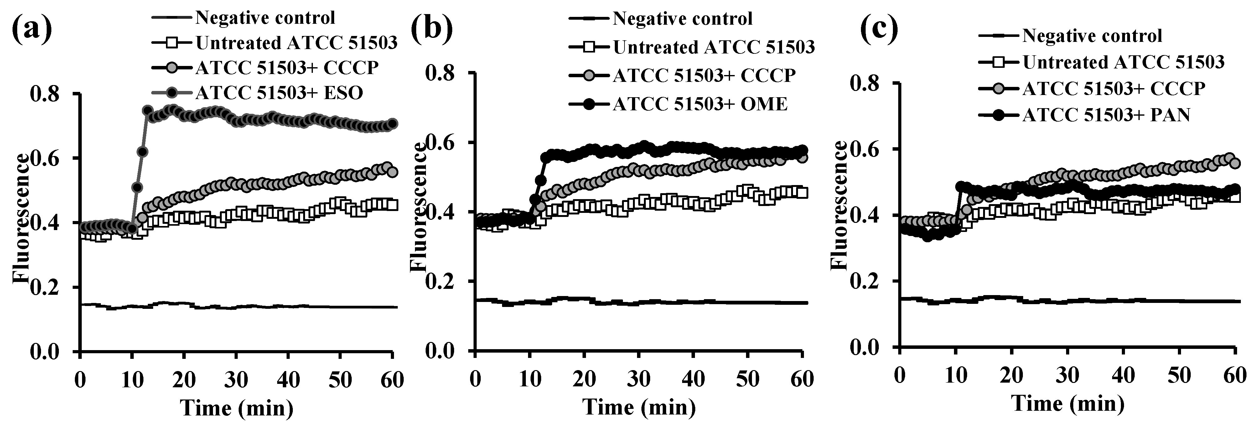 Microorganisms 13 01227 g004