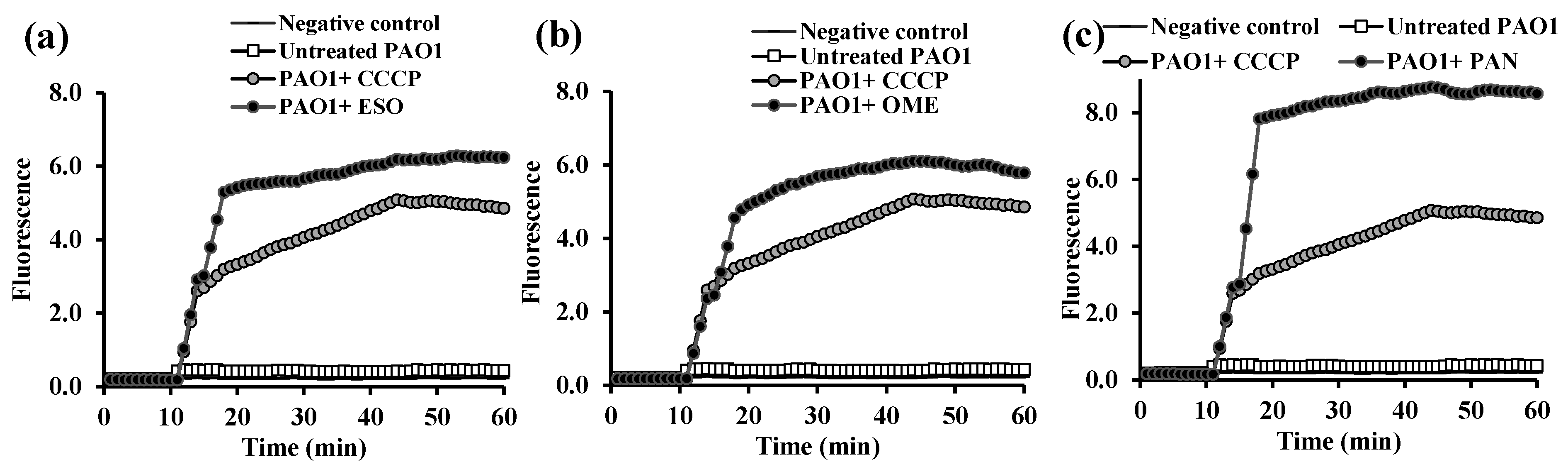 Microorganisms 13 01227 g006
