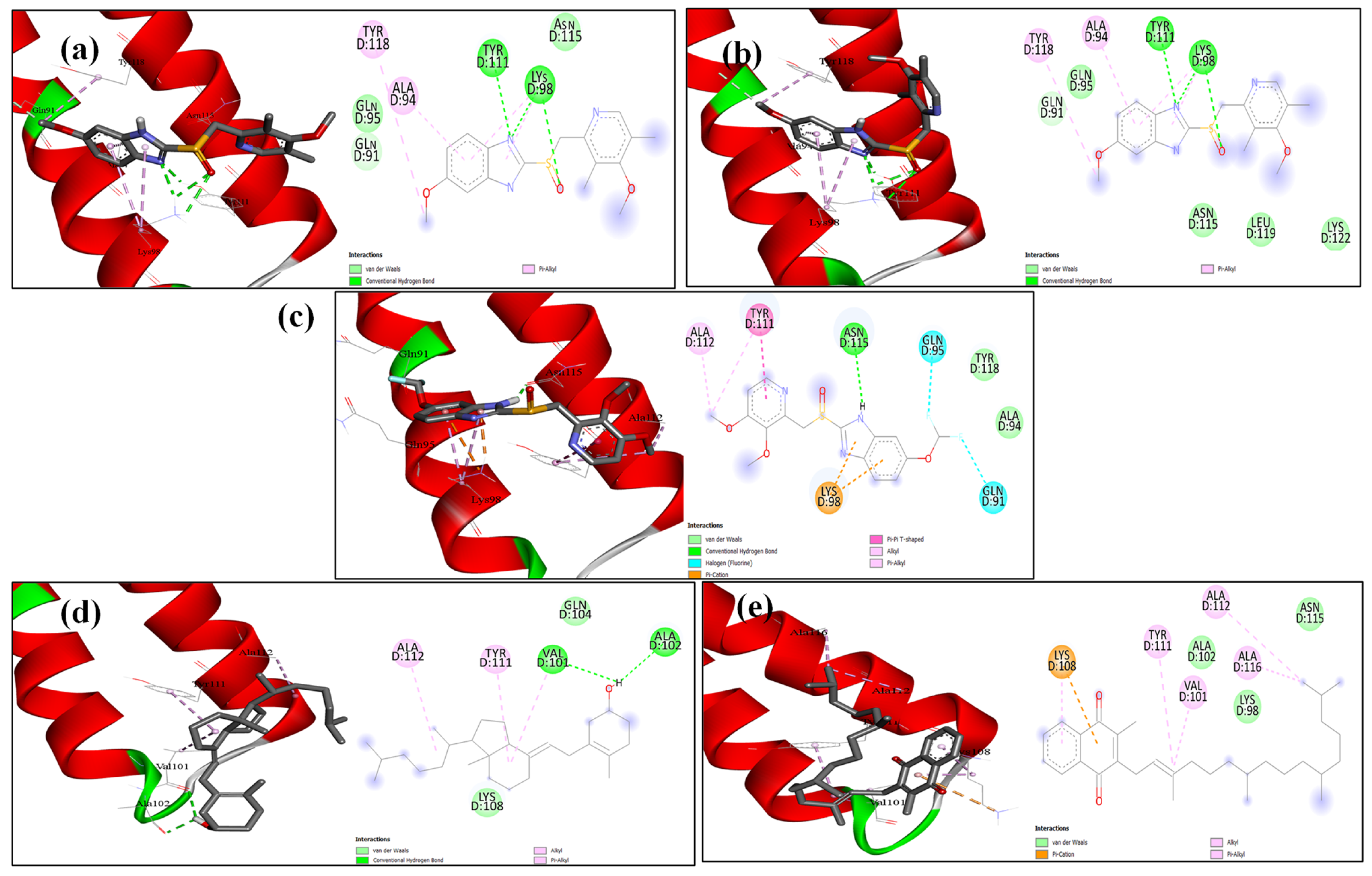Microorganisms 13 01227 g010