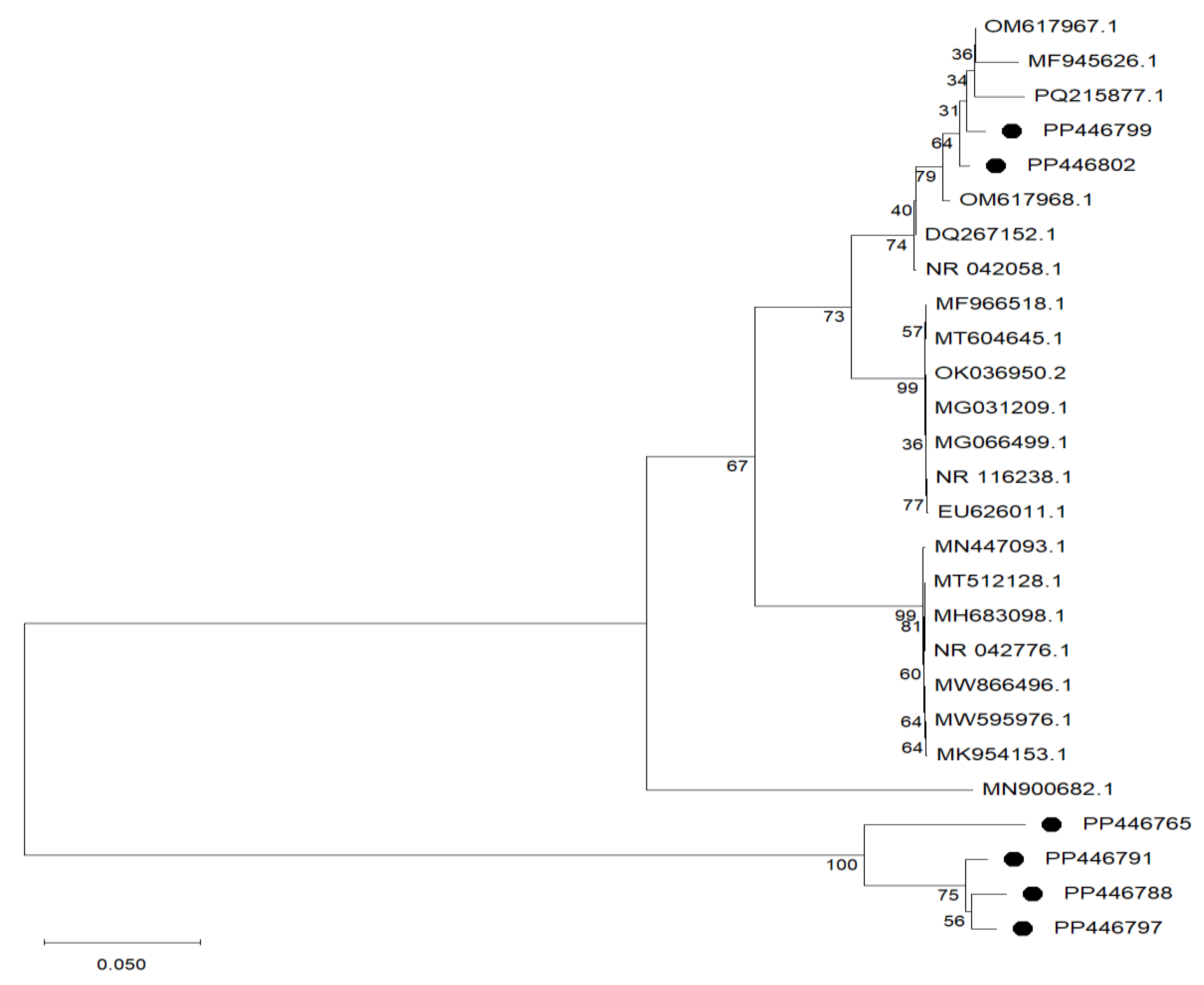 Microorganisms 13 01231 g001