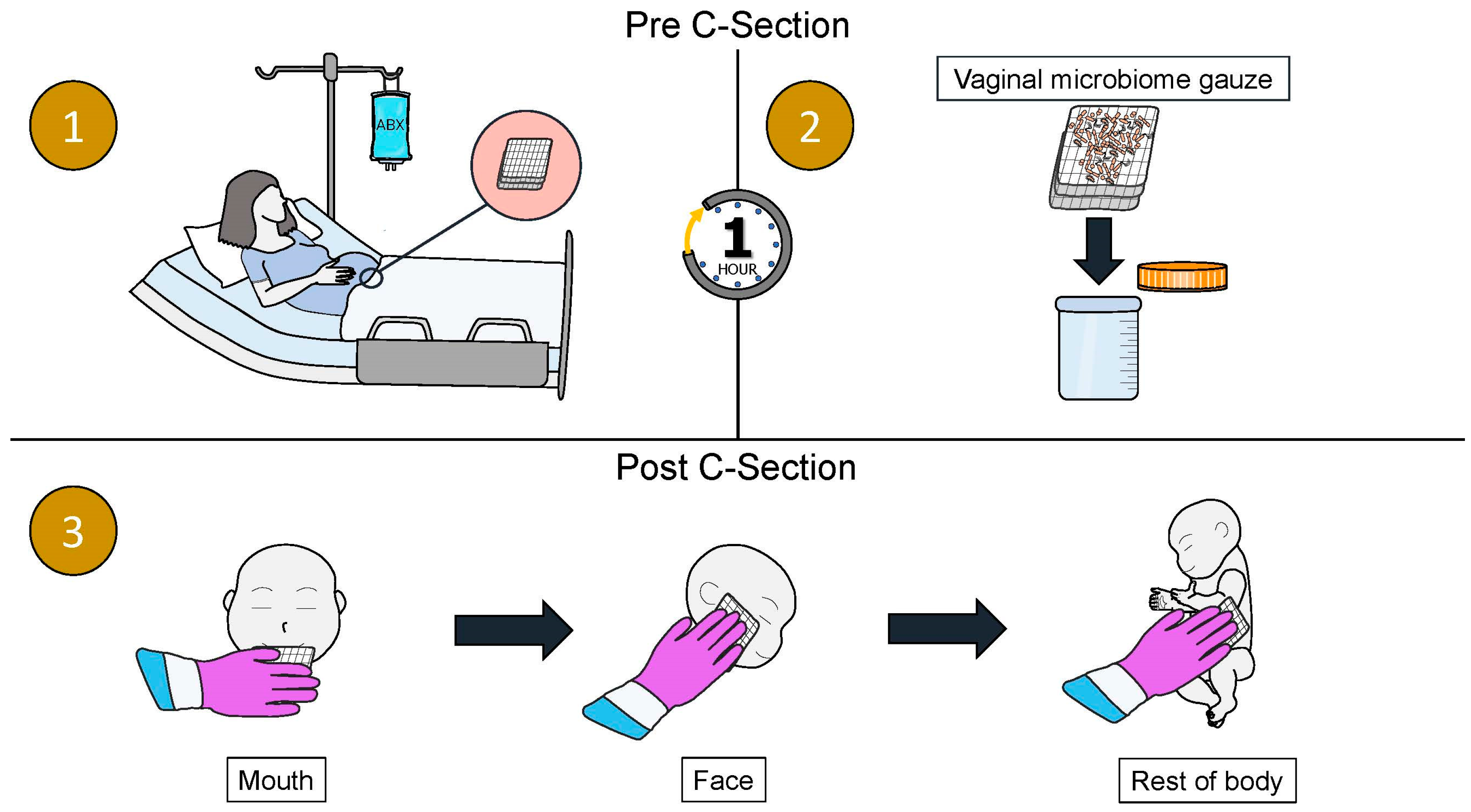 Microorganisms 13 01236 g001