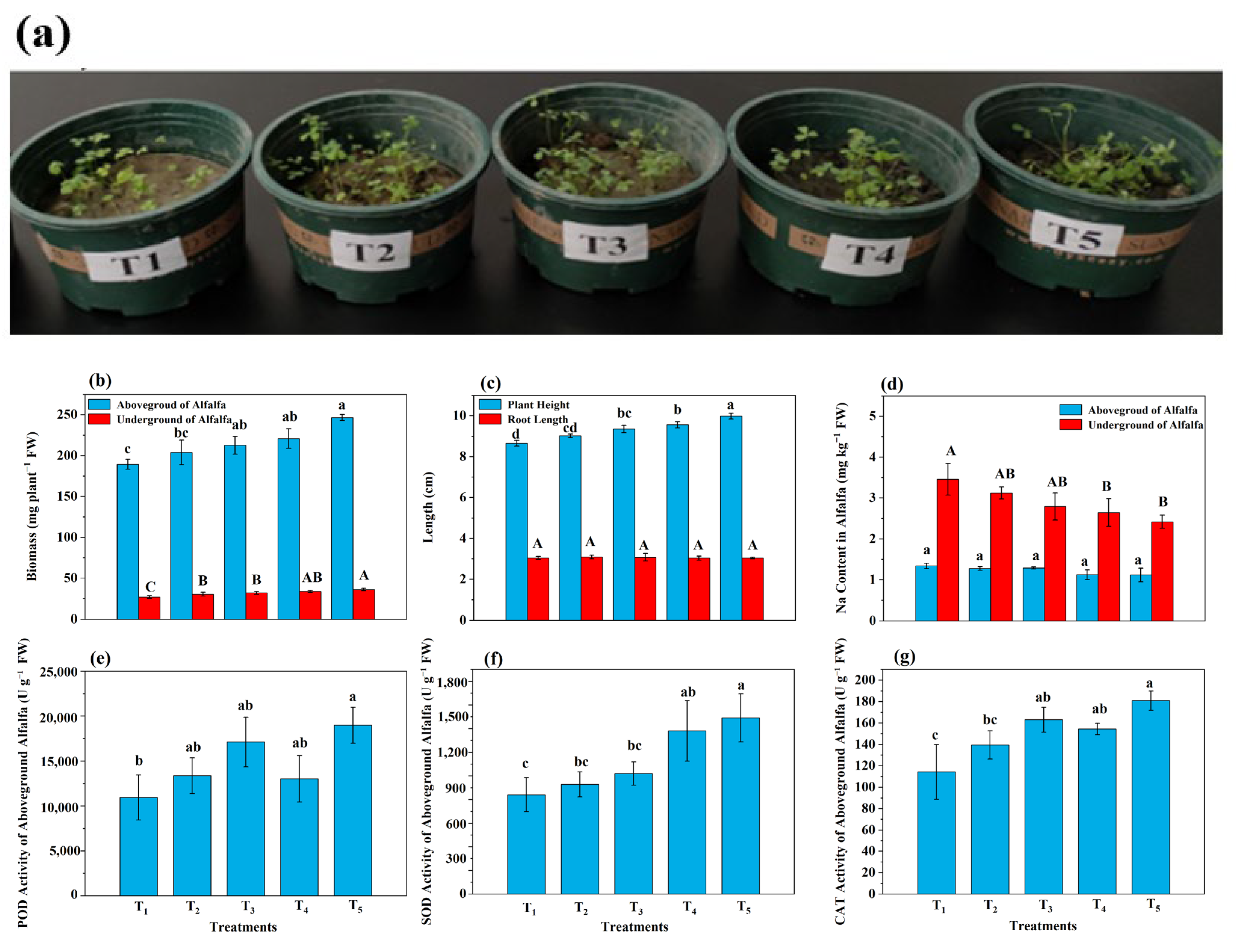 Microorganisms 13 01243 g008