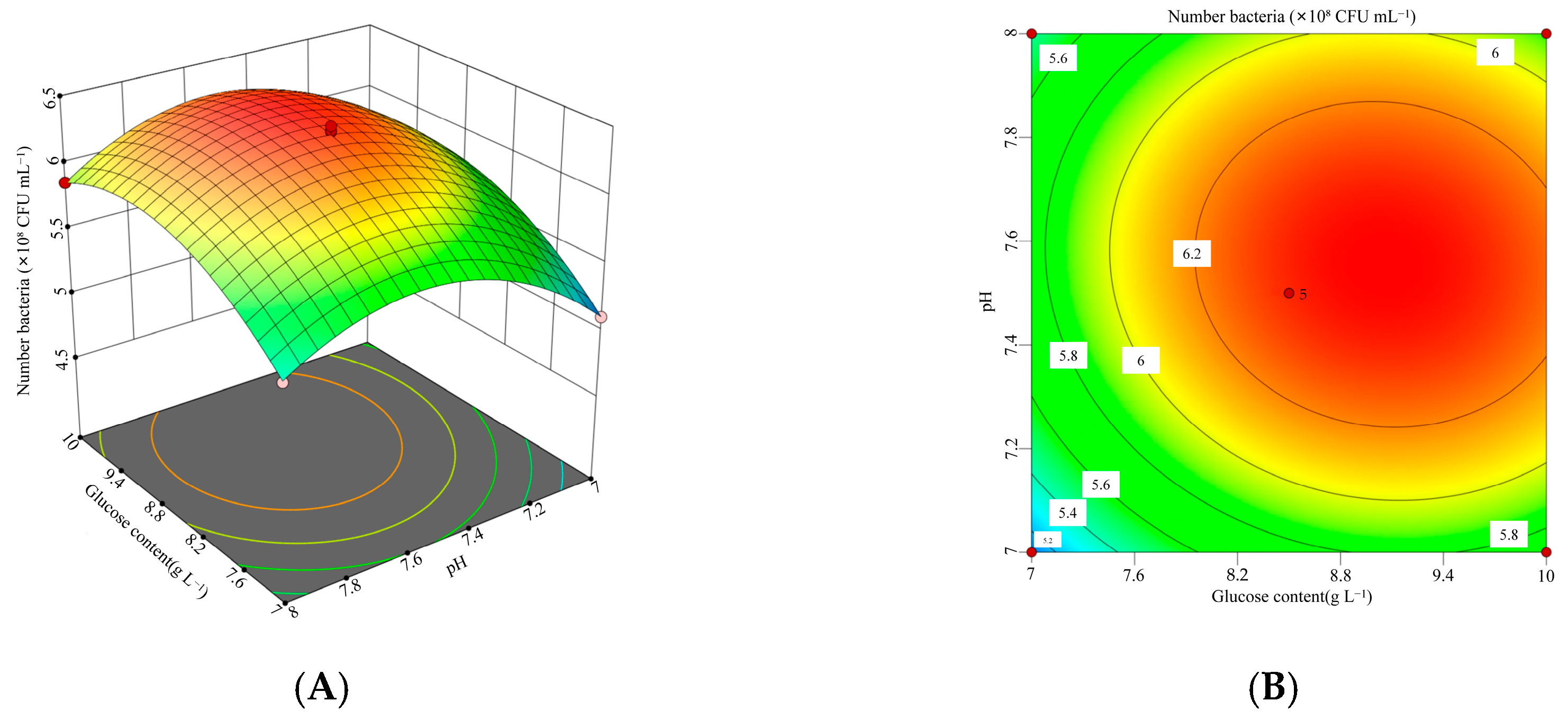 Microorganisms 13 01244 g006
