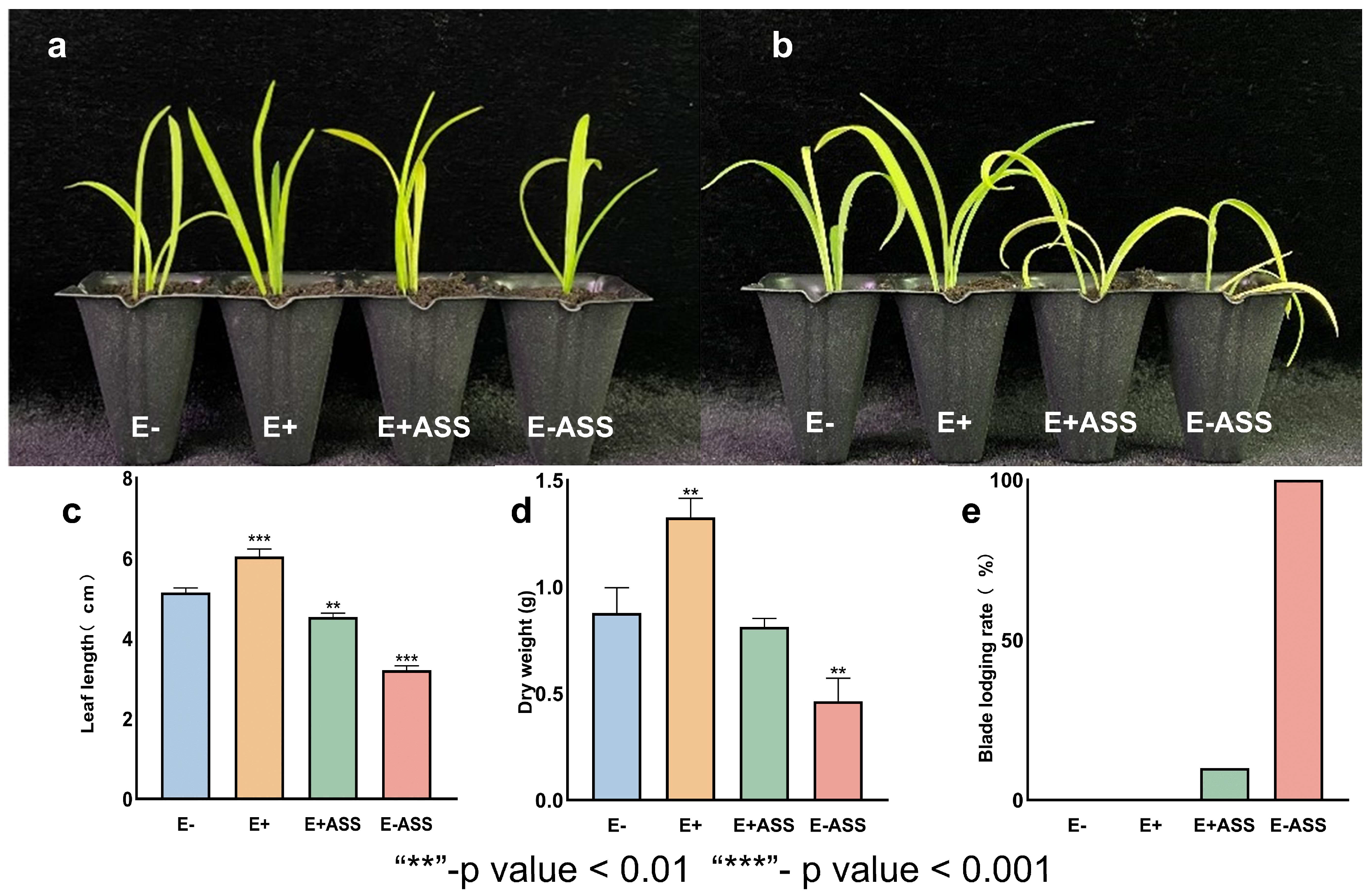 Microorganisms 13 01248 g008
