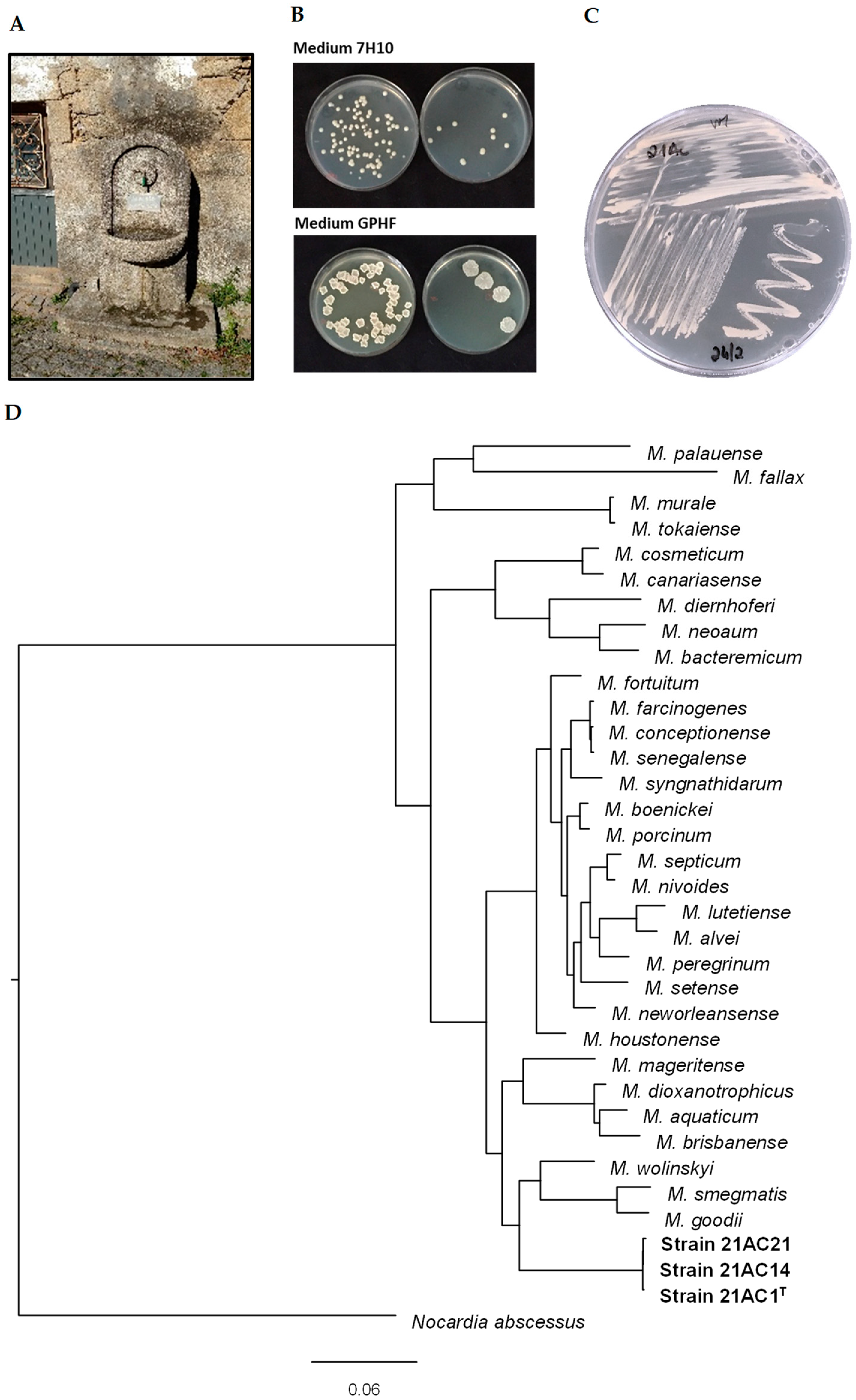 Microorganisms 13 01259 g001