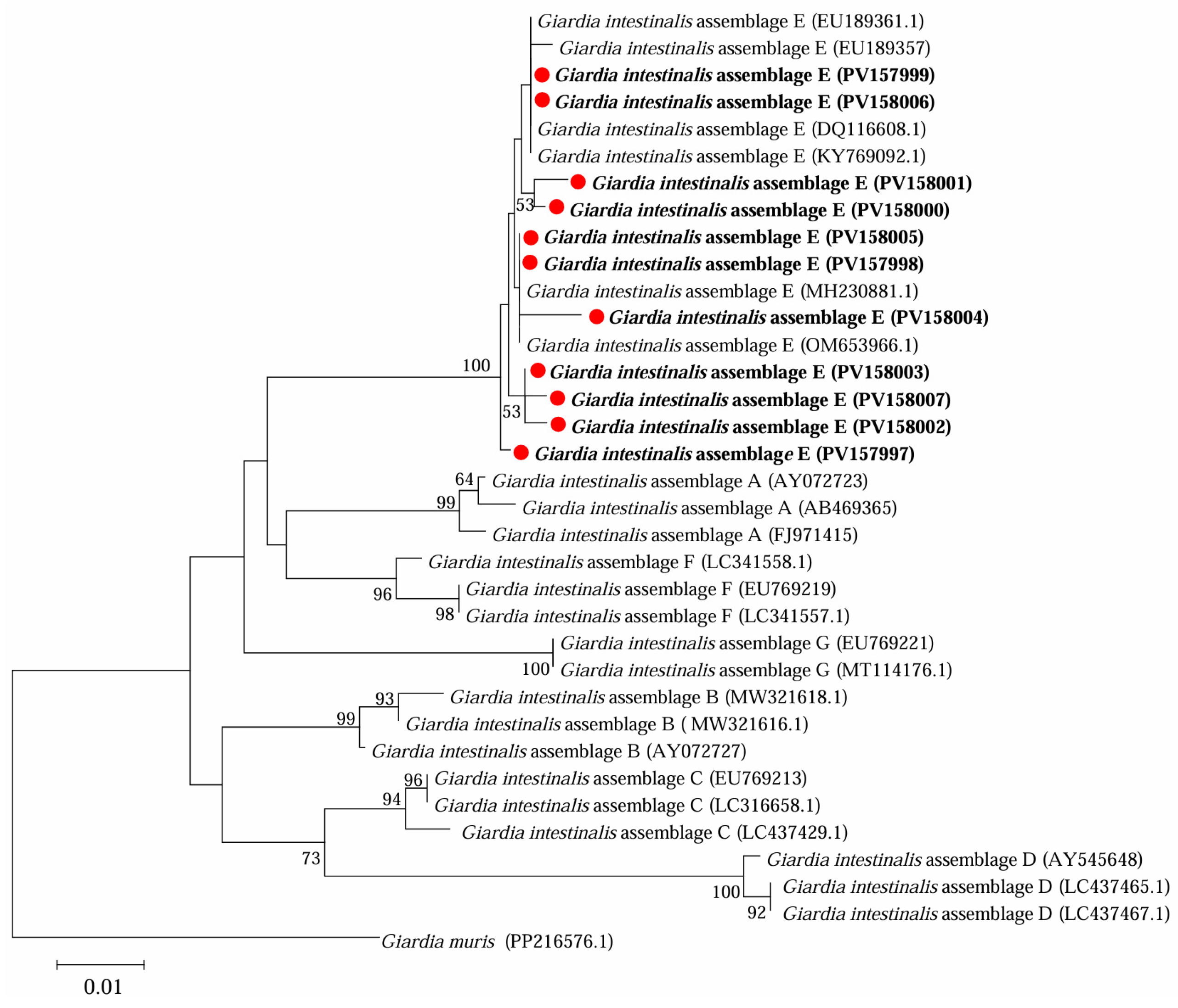 Microorganisms 13 01261 g003