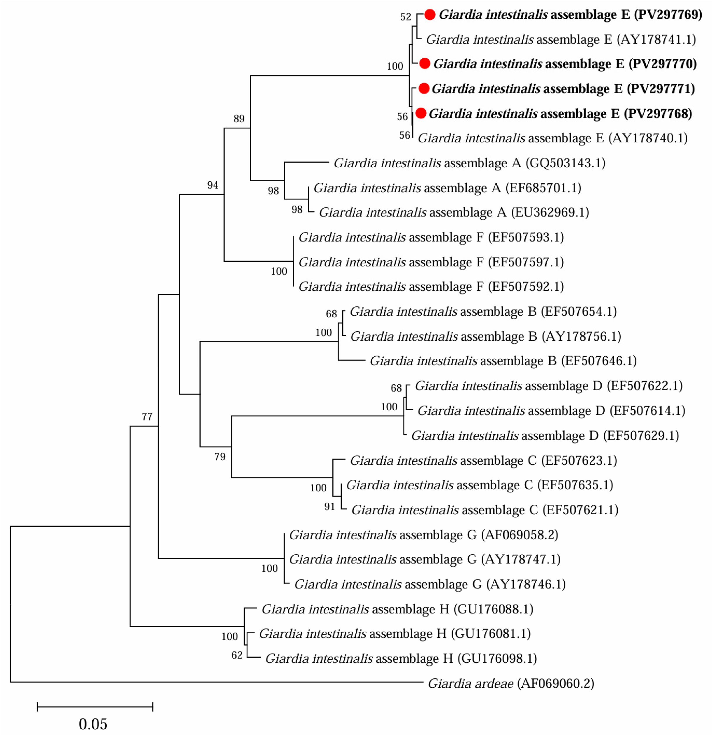 Microorganisms 13 01261 g004