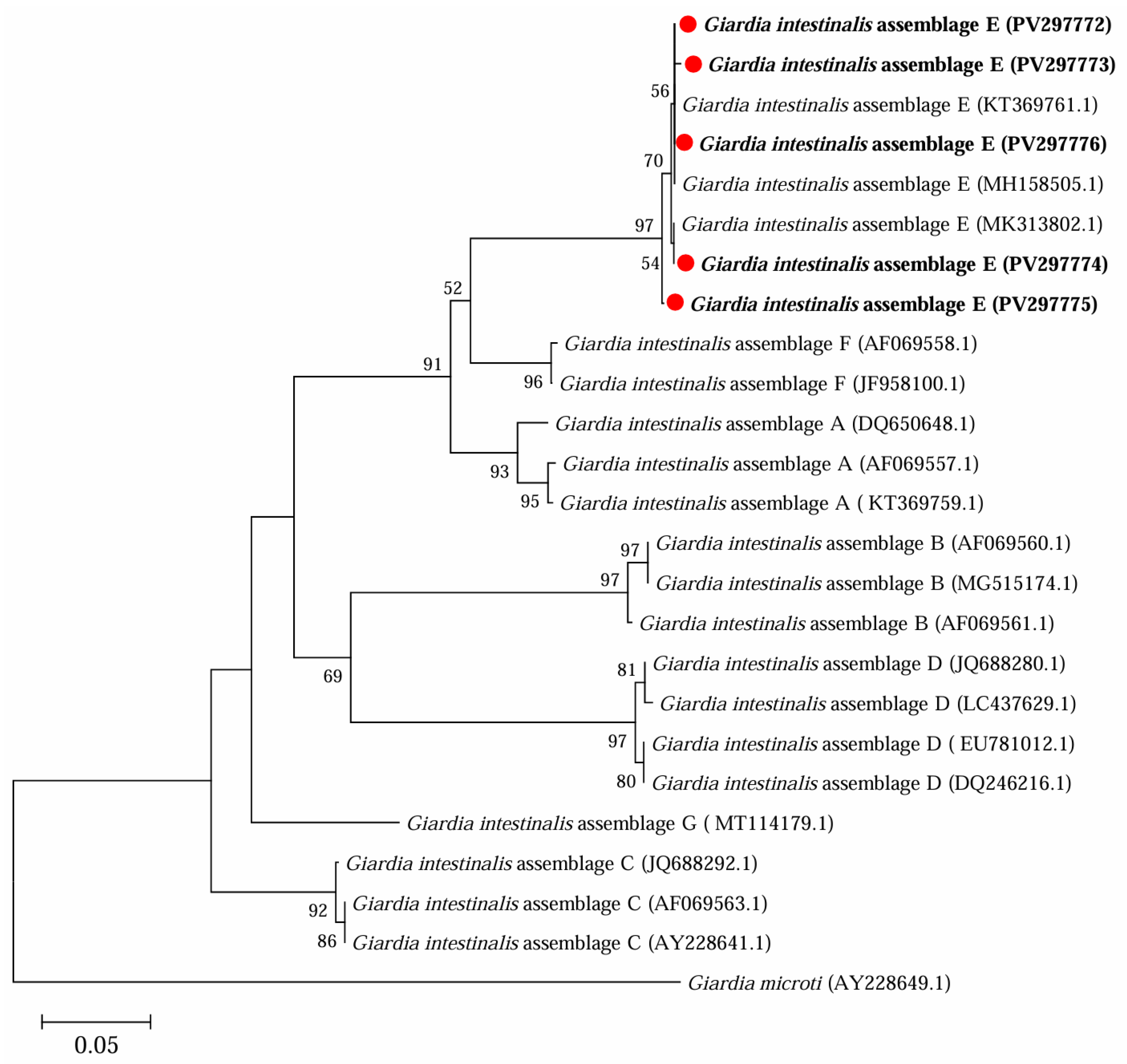 Microorganisms 13 01261 g005