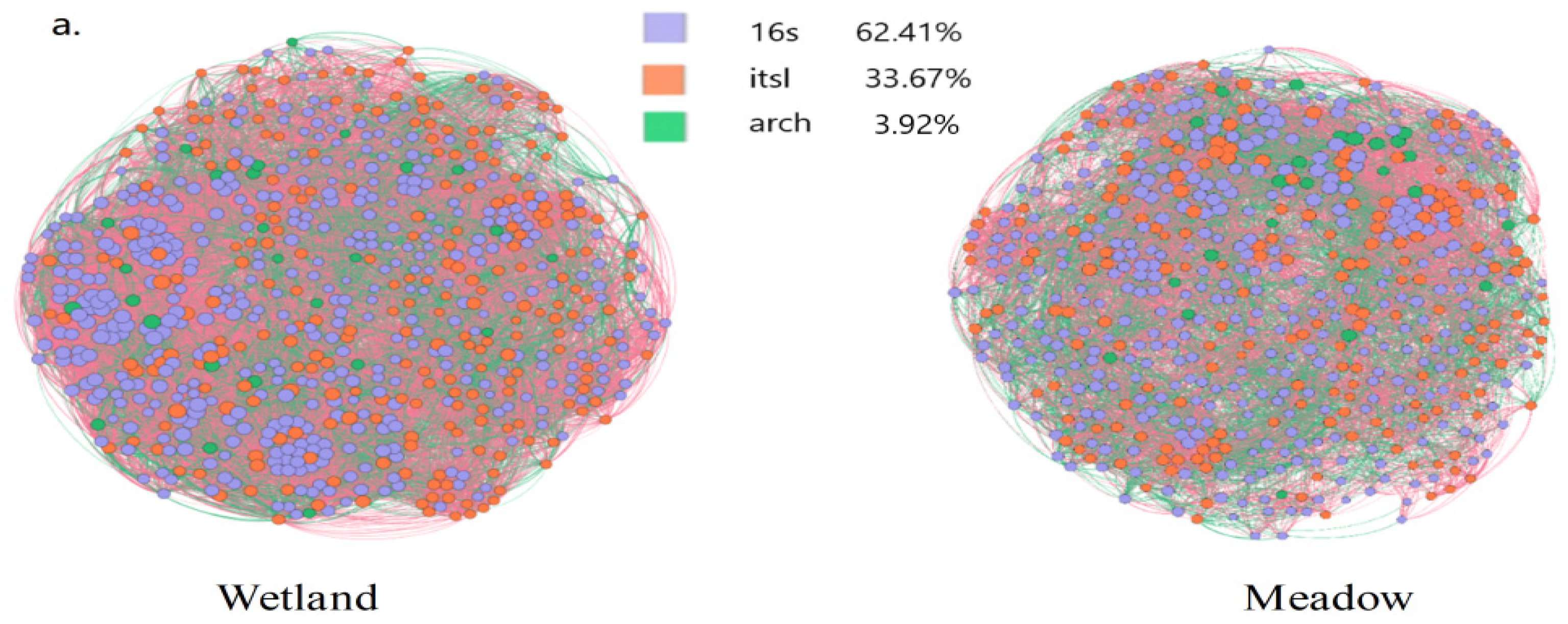 Microorganisms 13 01263 g003a