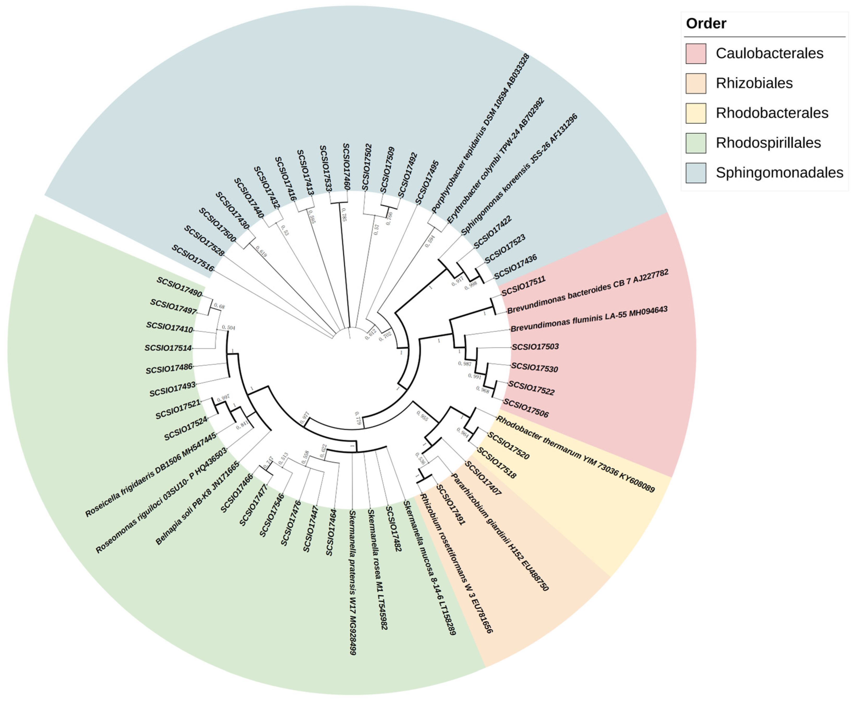 Microorganisms 13 01265 g005