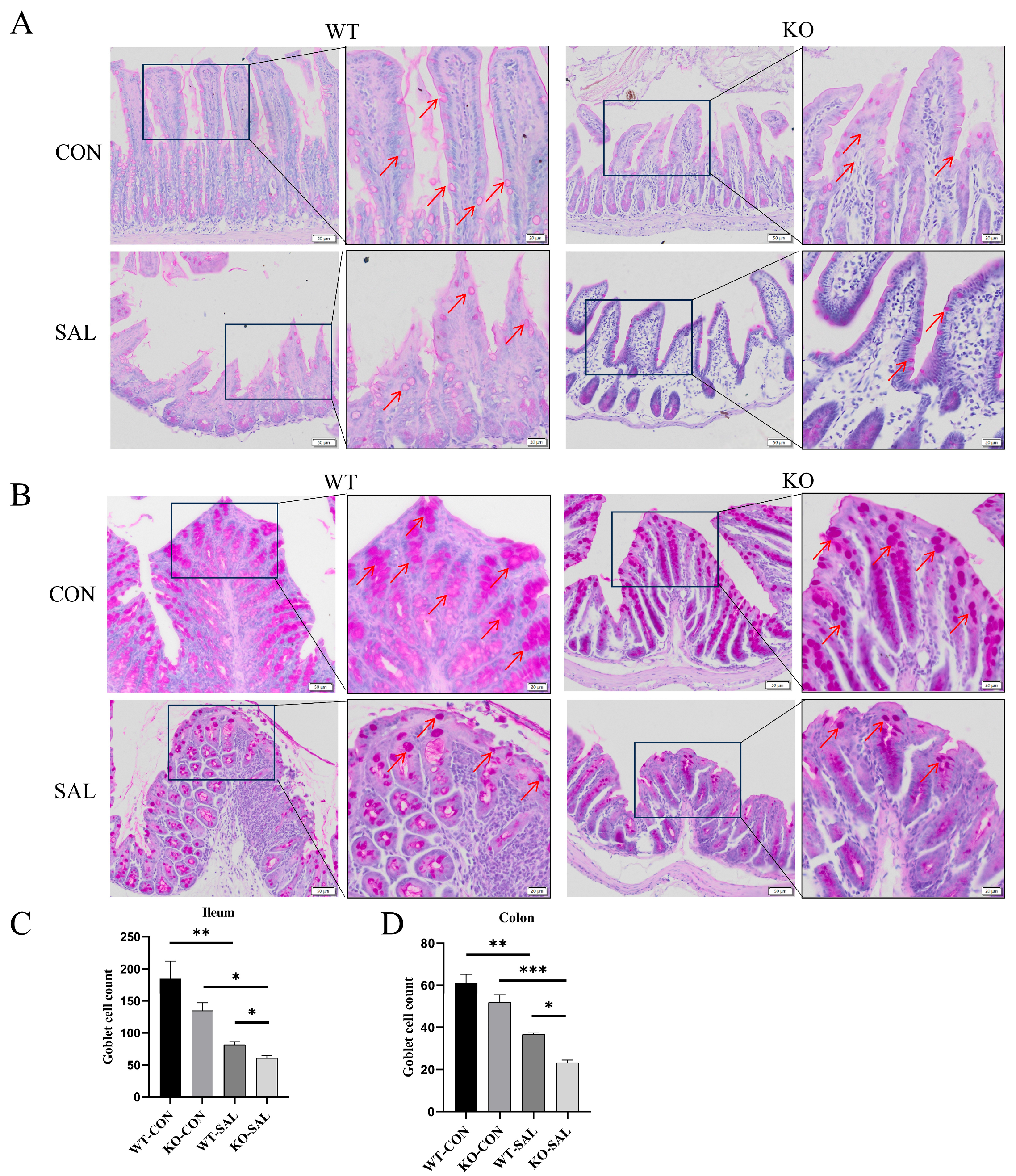 Microorganisms 13 01267 g004